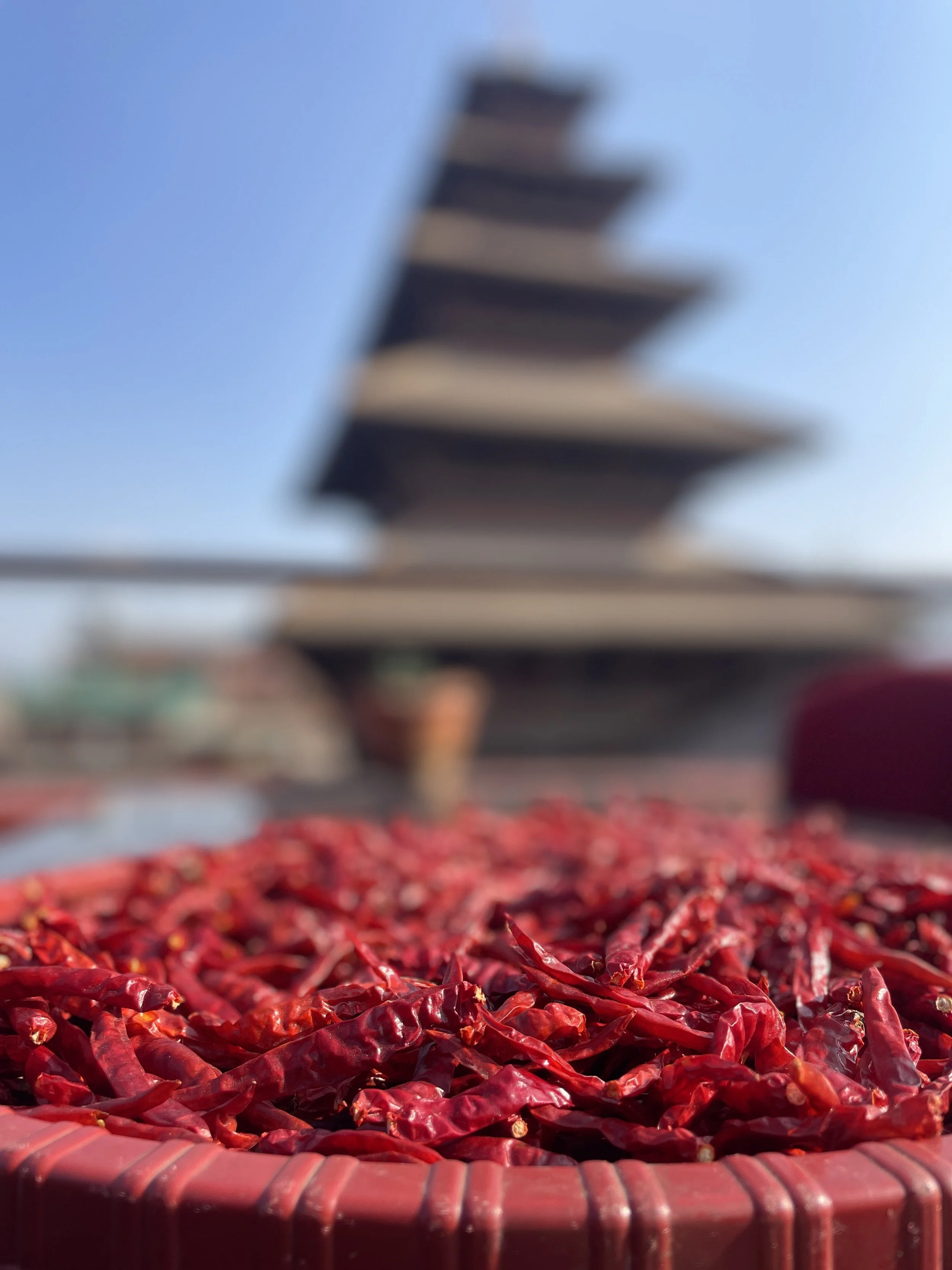 Bright red chilies dry in the sun on the rooftop, their color echoing the brick and temple tiers beyond. A simple, everyday ritual unfolding beside centuries of history.
