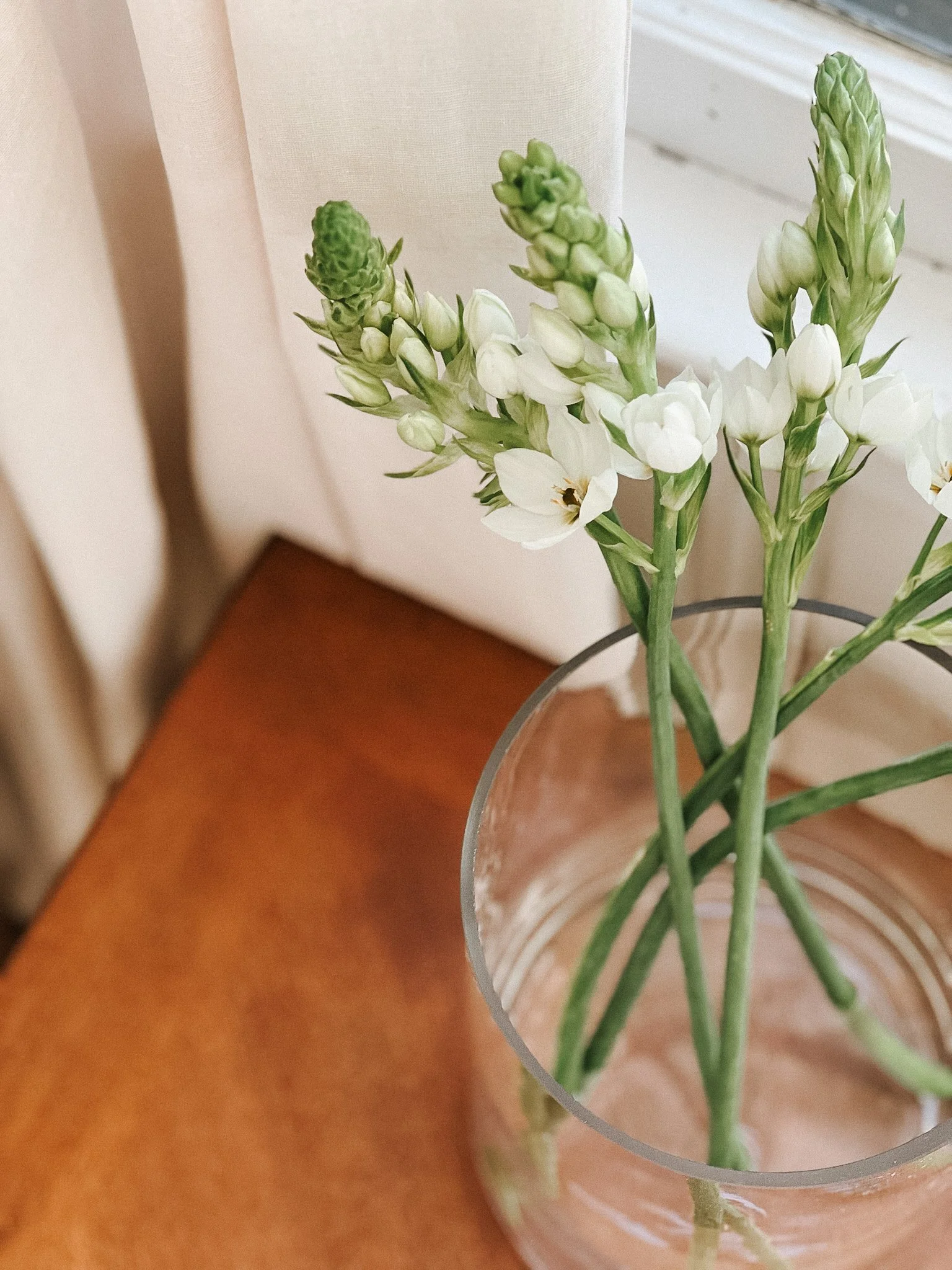 White flowers in a glass vase placed on a wooden surface near a window.