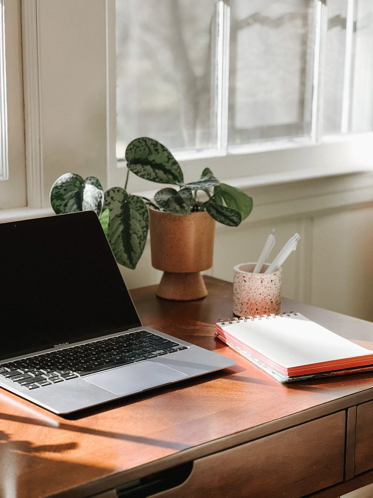 A wooden desk with a MacBook laptop, a pink and white notebook, a speckled pink pen holder with pens, and a potted plant with large green leaves near a window.