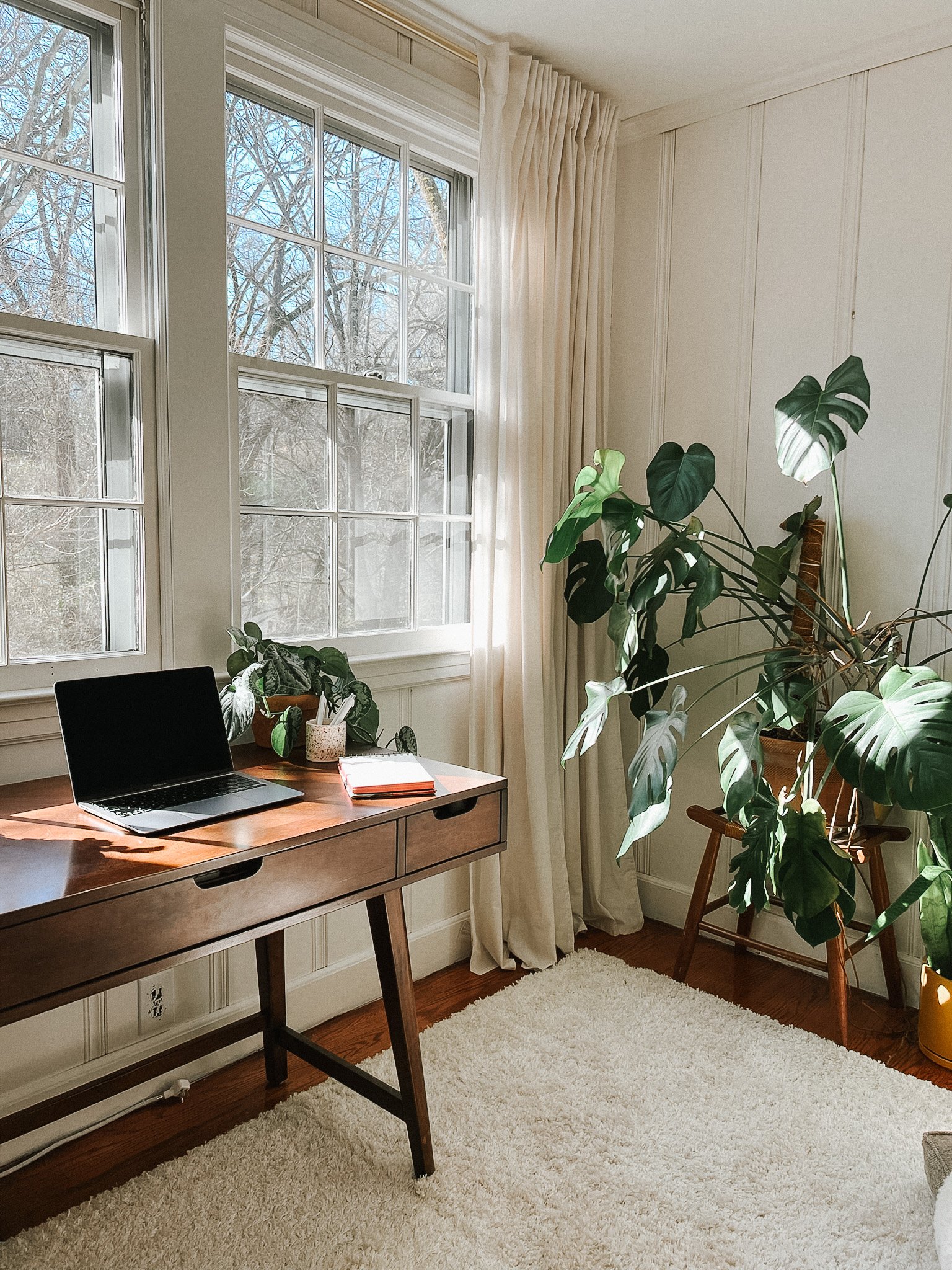 A cozy home office with a wooden desk near large windows with white curtains, a laptop, notebooks, and potted houseplants, including a large Monstera, in a sunlit room with cream-colored walls and a beige rug on wooden floors.
