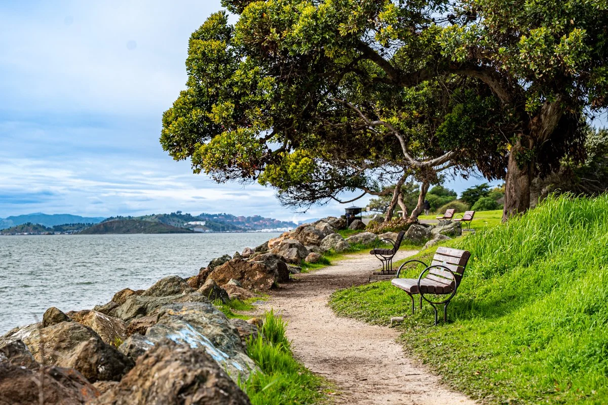 Berkeley Bayside Path