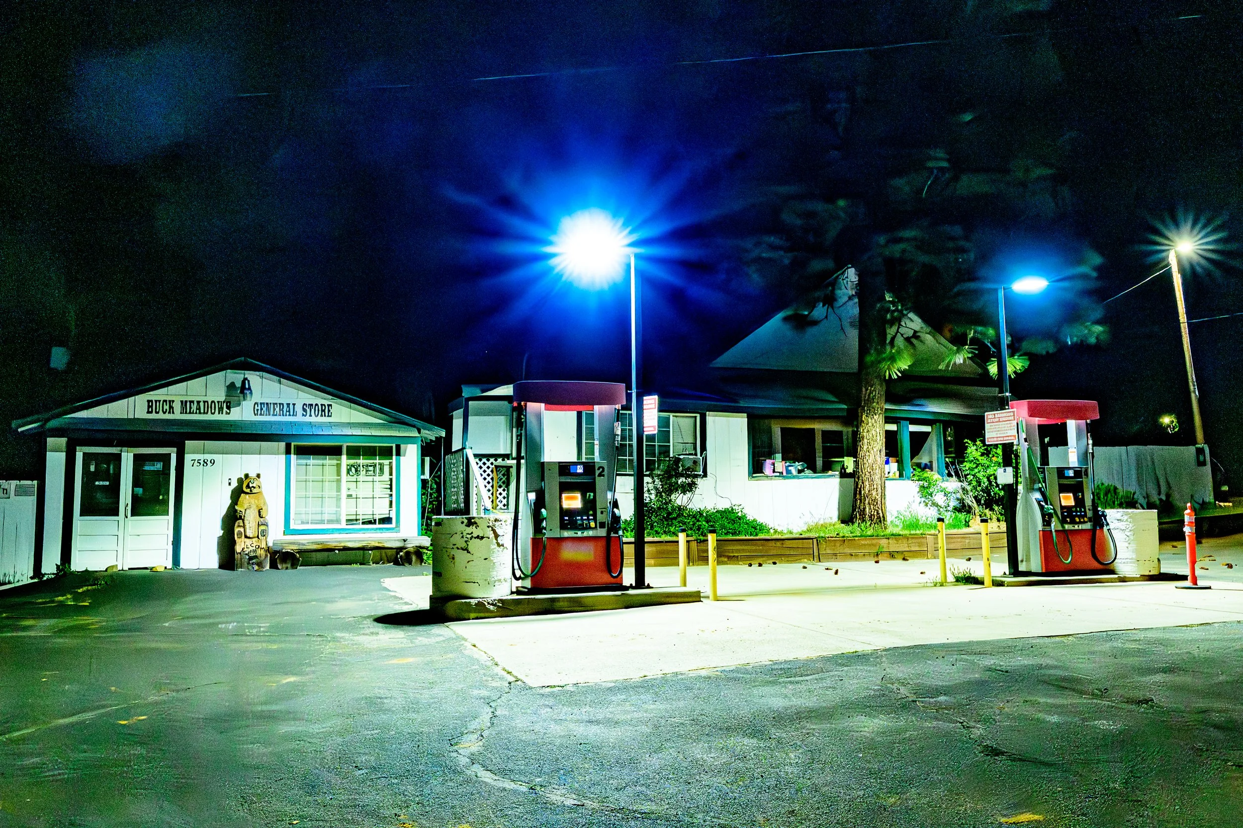 Night scene of a gas station with two illuminated streetlights, a building labeled 'Buck Meadows General Store,' and for sale signs. Empty parking lot with tire tracks and a few small animals on the ground, under a dark sky.