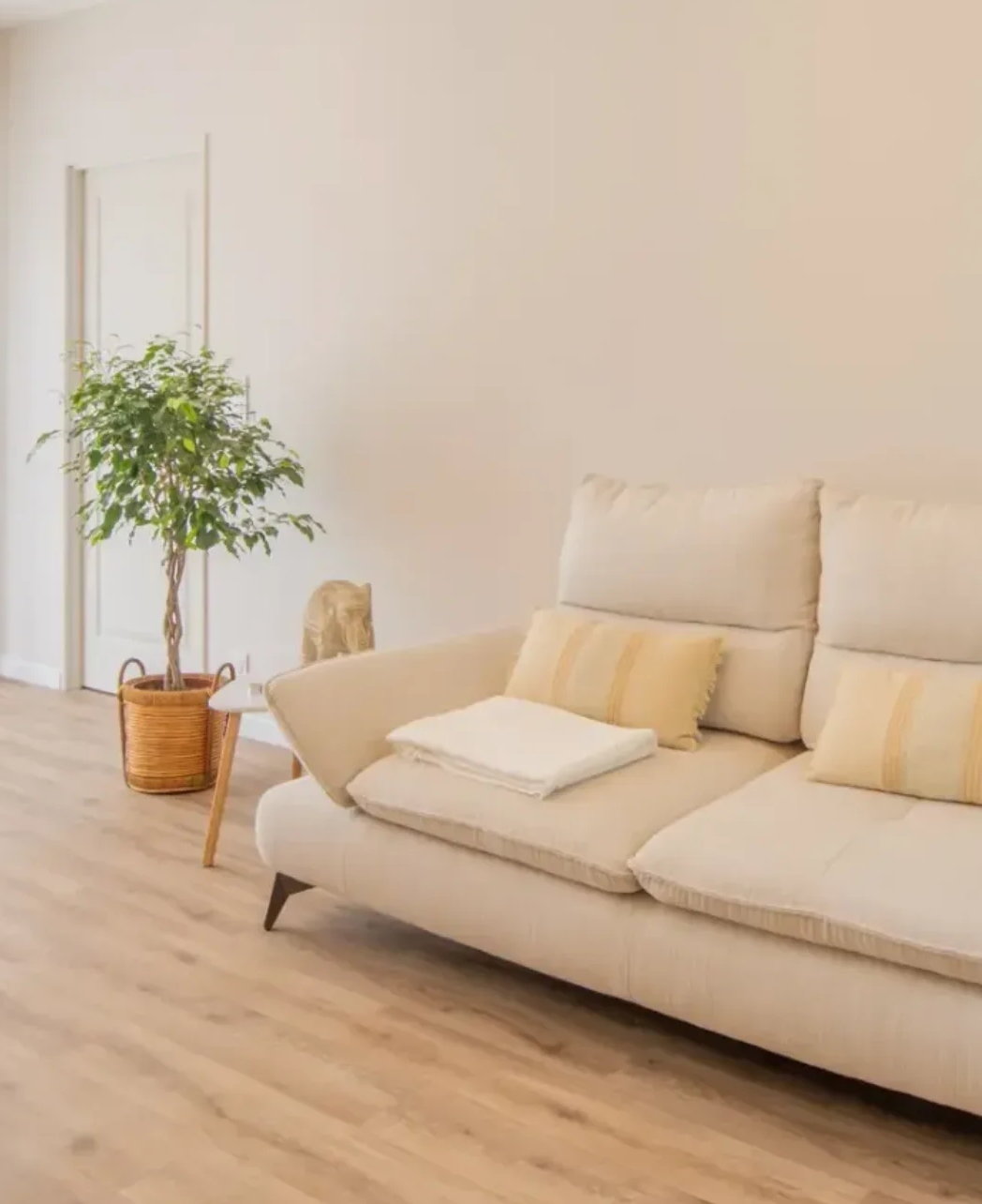 Sofa beige avec coussins et une couverture blanche dans un salon lumineux, plantes vertes en pot sur le sol en bois clair, mur blanc.