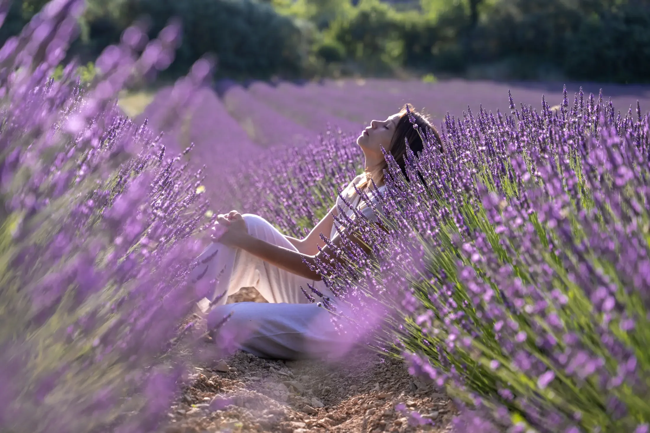 Une jeune femme assise dans un champ de lavande en fleurs avec ses yeux fermés et le visage tourné vers le soleil, entourée de rangées de lavande violette.