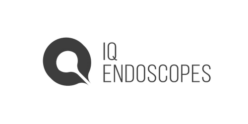 Logo for QI Endoscopes with a stylized Q and the text 'QI Endoscopes'.
