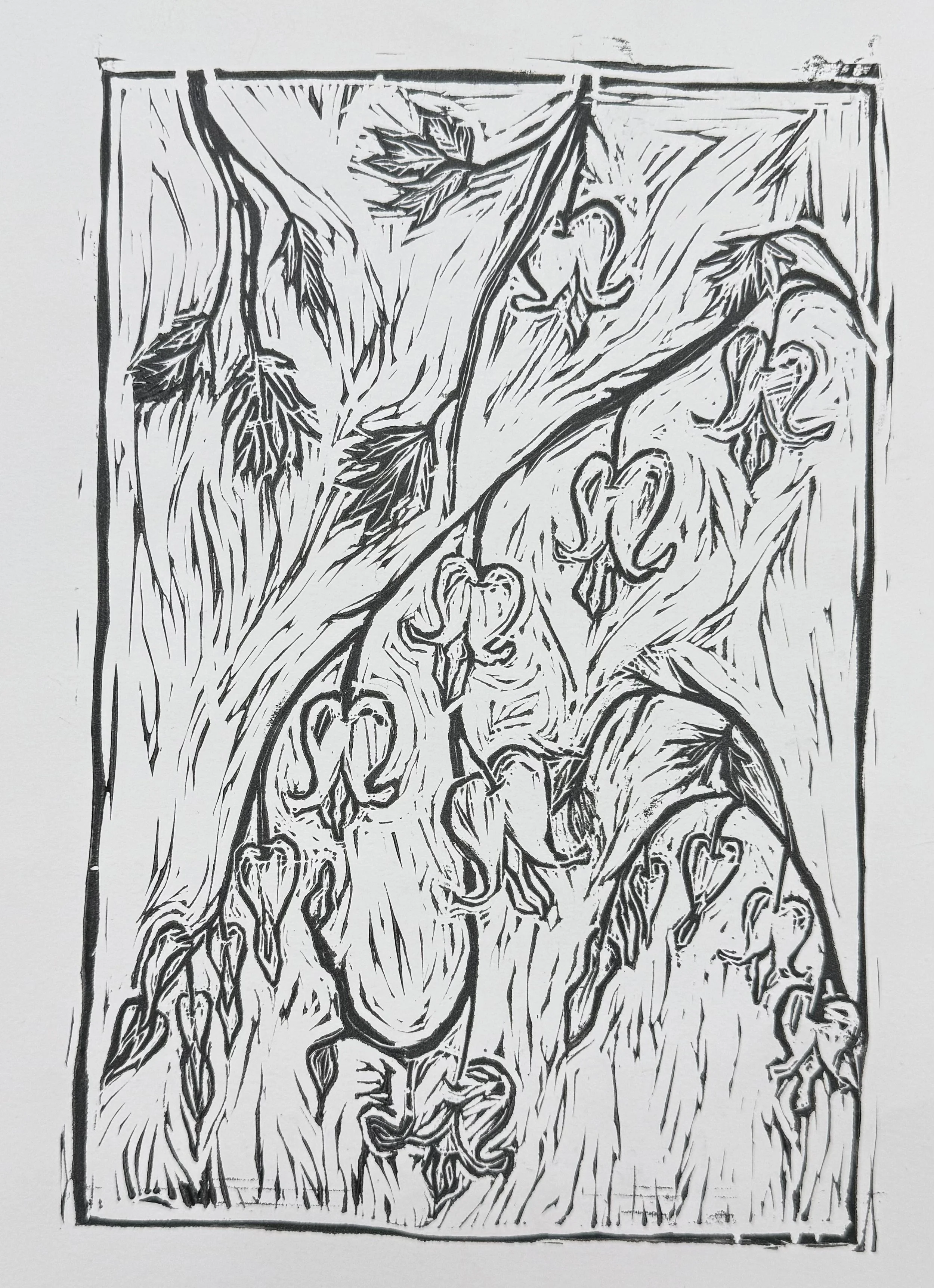 Bleeding Hearts, Linocut, 2025