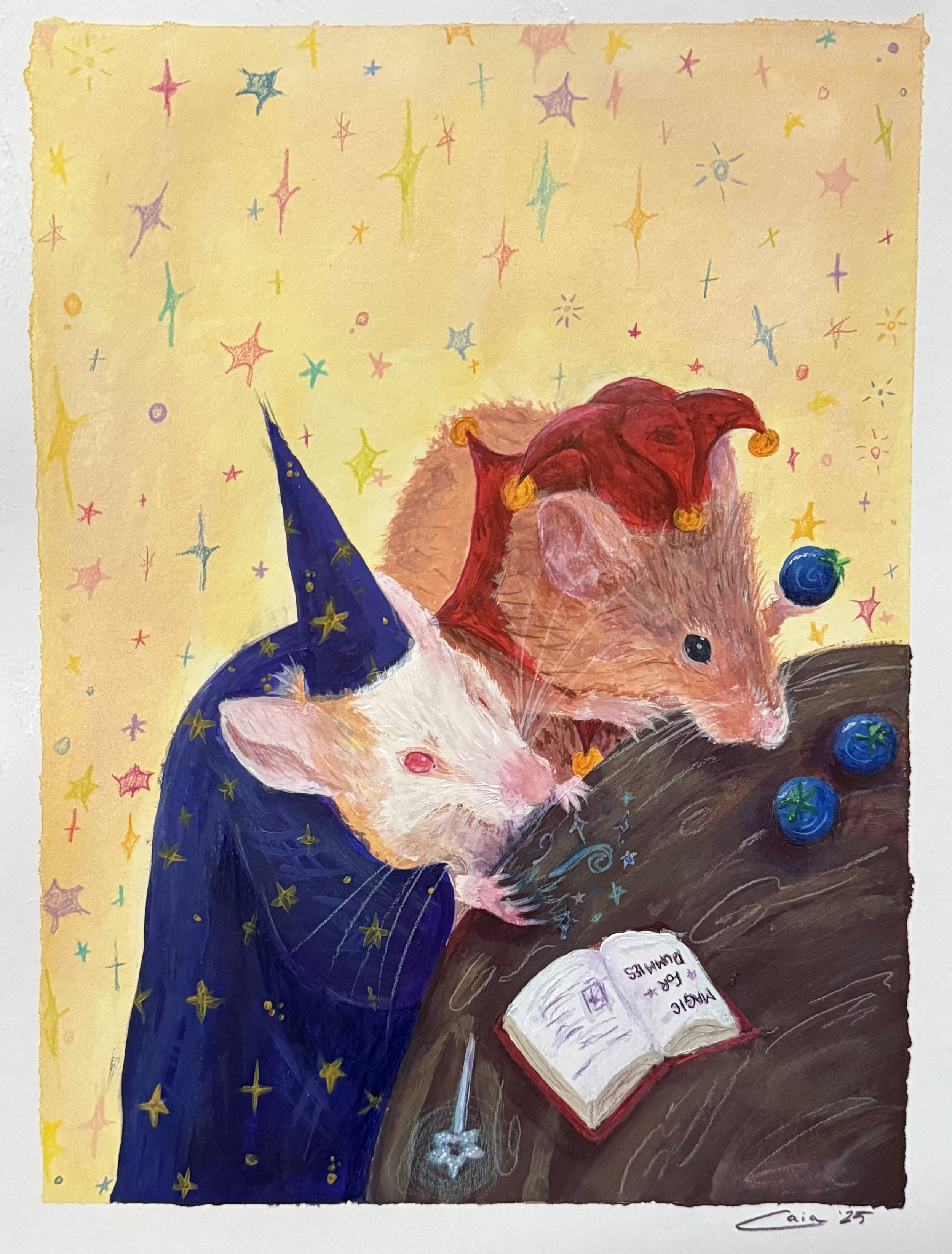 Magic for Dummies, Acrylic Paint and pencil, 2024