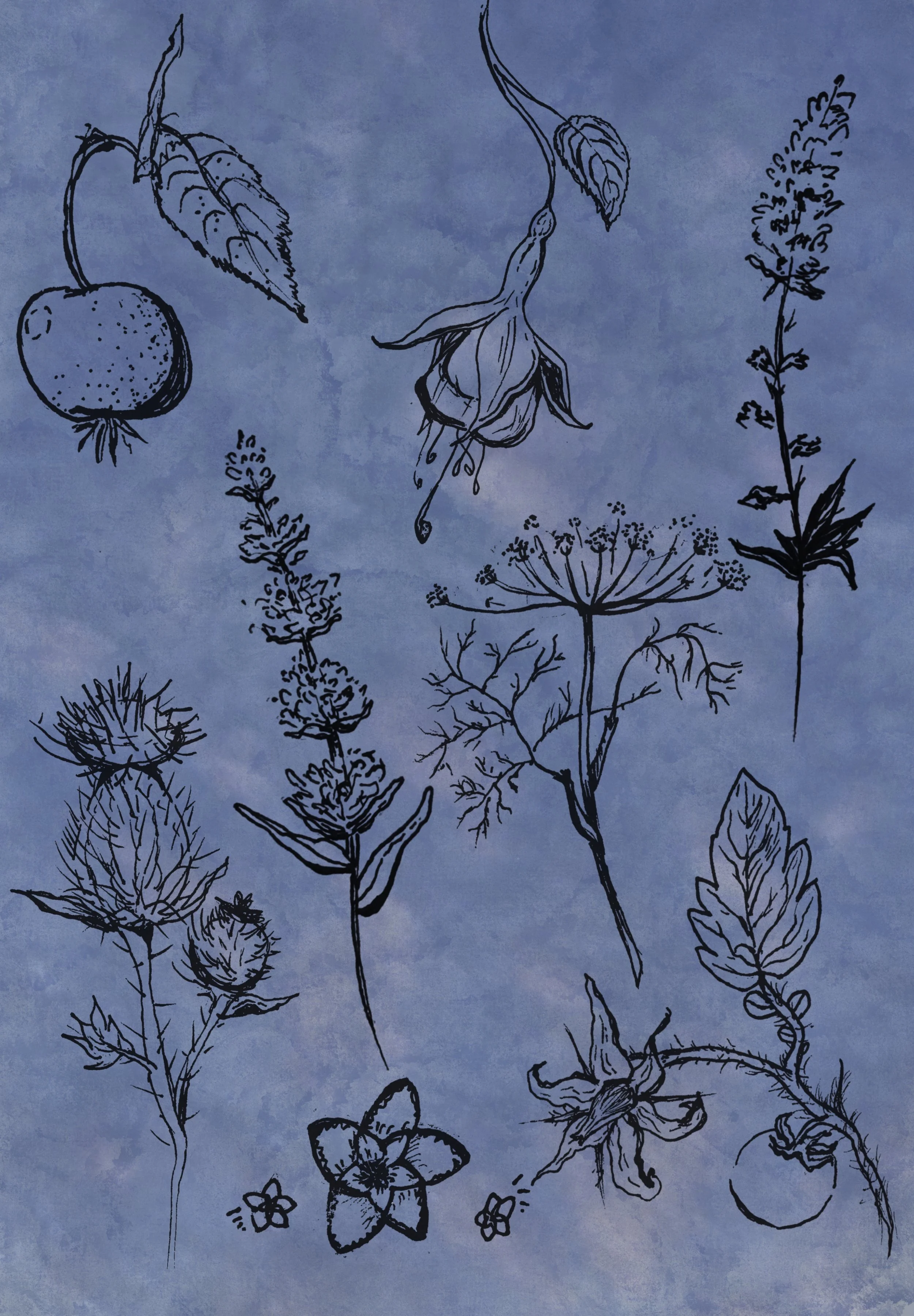Nostalgic Plant Flash Sheet, 2025
