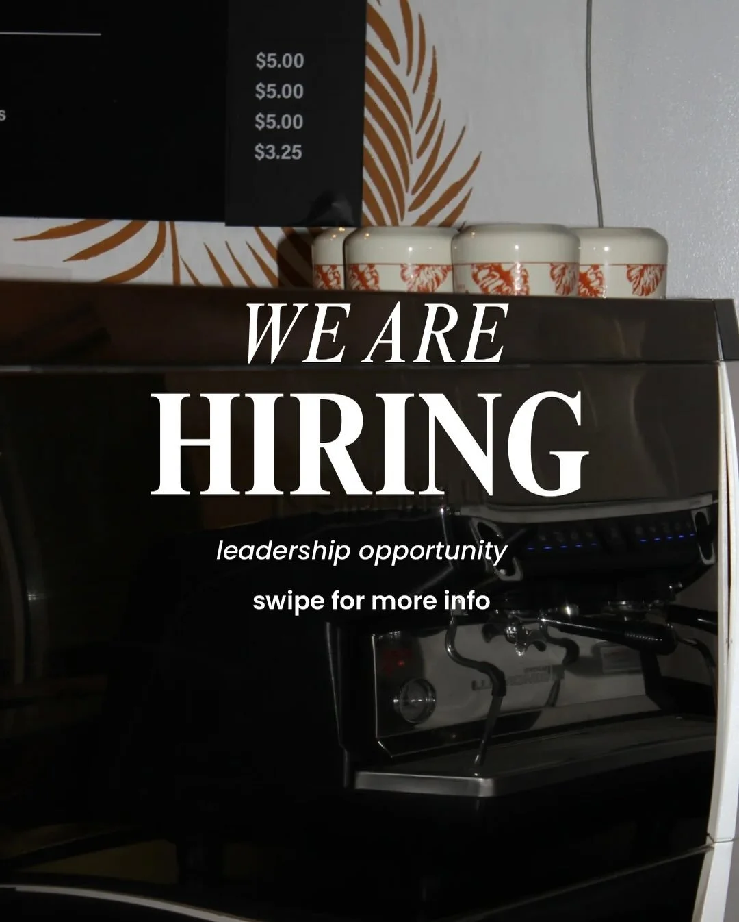 apply in the Haystack link in our bio!!