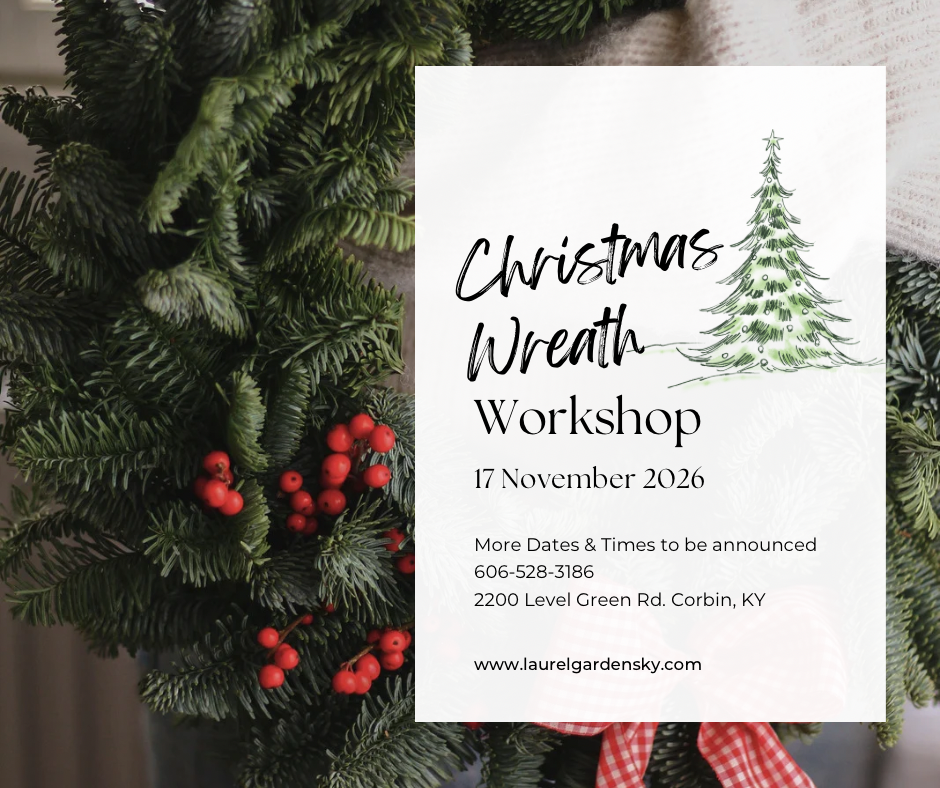 Evergreen Elegance: A Holiday Wreath Workshop