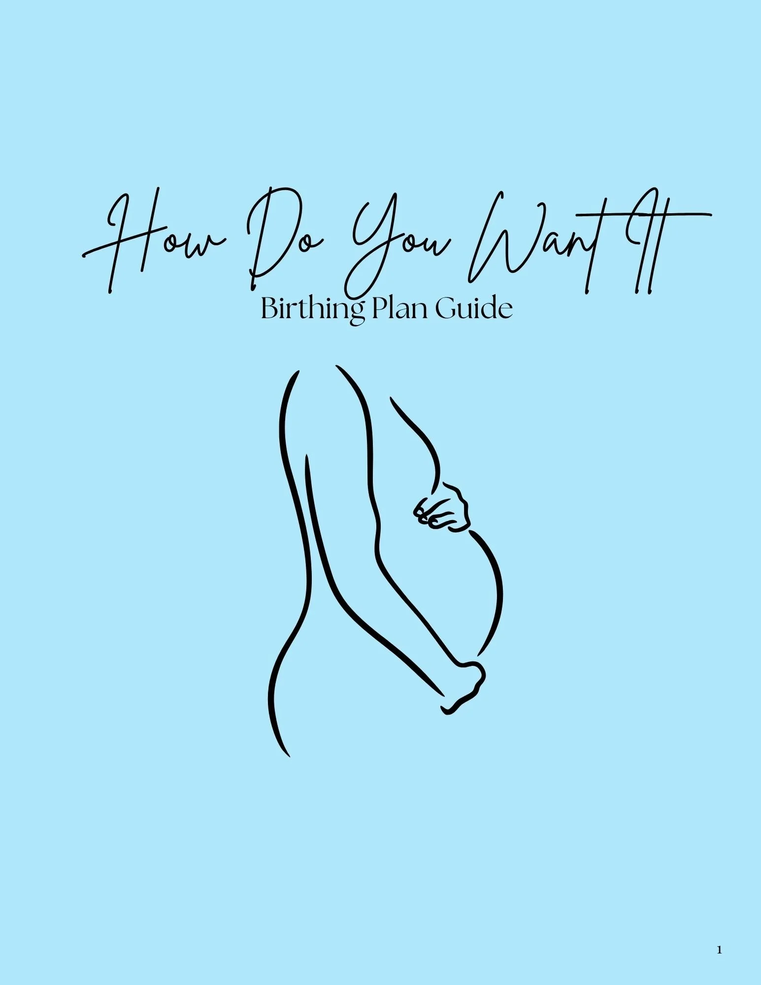 How Do You Want It? Birthing Plan Guide (Digital)