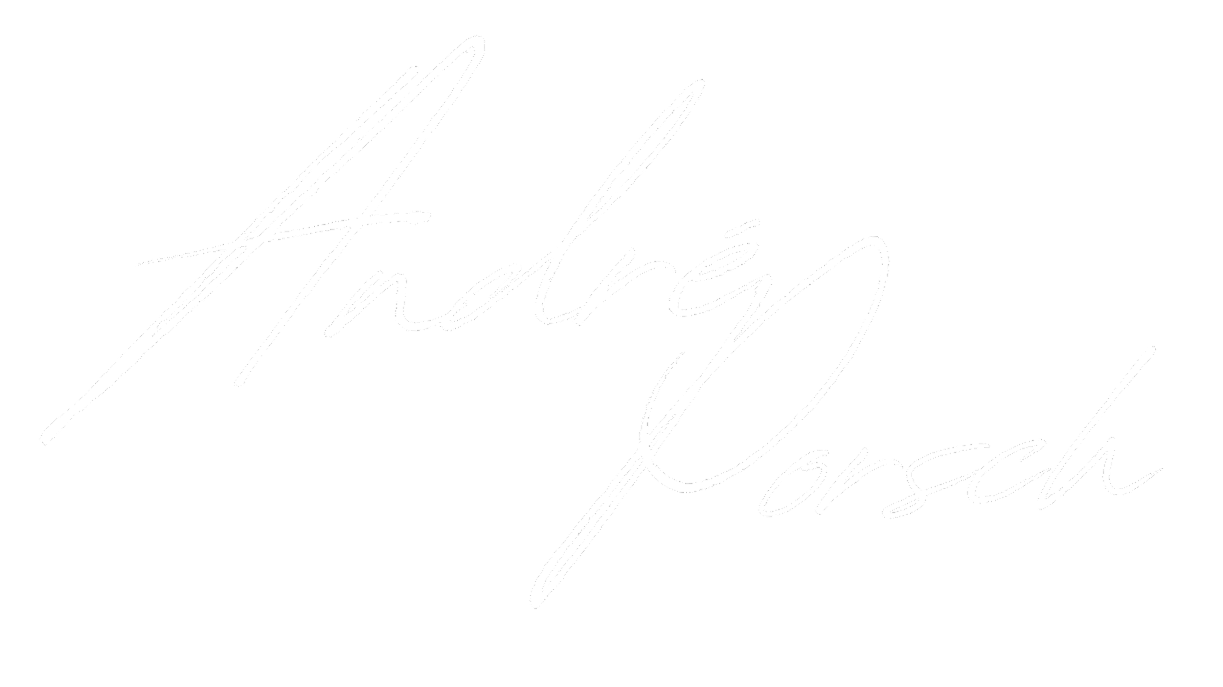 Weiße handgeschriebene Schrift auf schwarzem Hintergrund mit dem Text 'Andréj Porsch'.