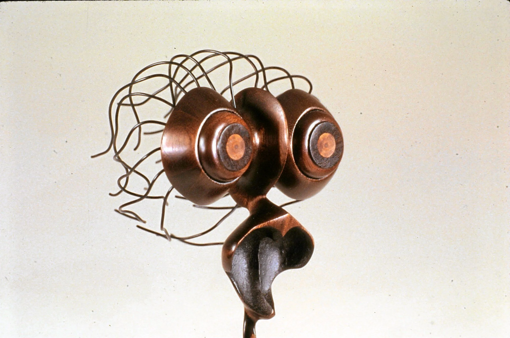 Steven Careau - Figure 1 detail.jpg