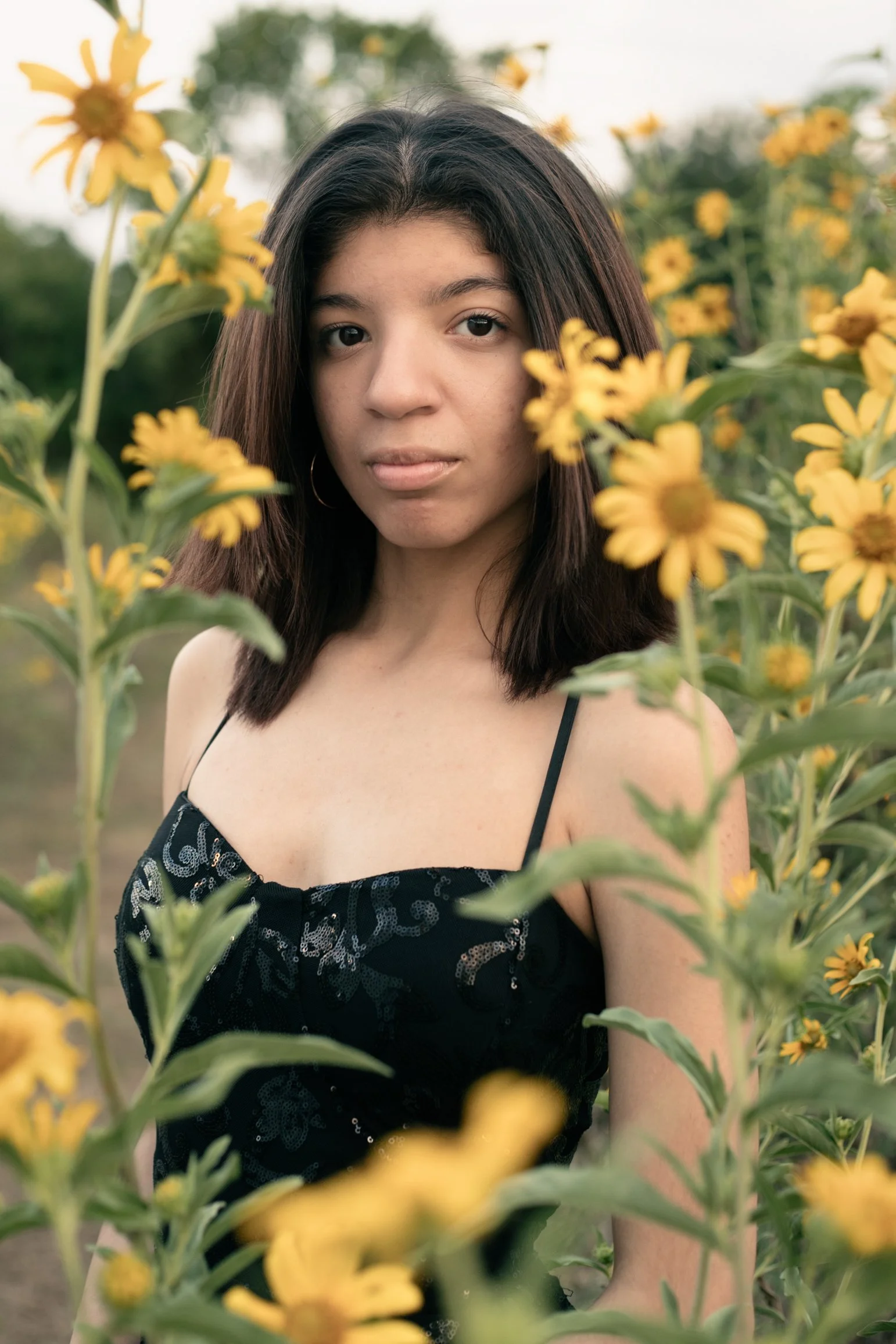 High school senior portrait in Houston, Texas featuring a female senior surrounded by yellow wildflowers with soft natural light. Elegant outdoor senior photography by Dominic Alvarez Photography serving Katy, Houston, and surrounding areas.