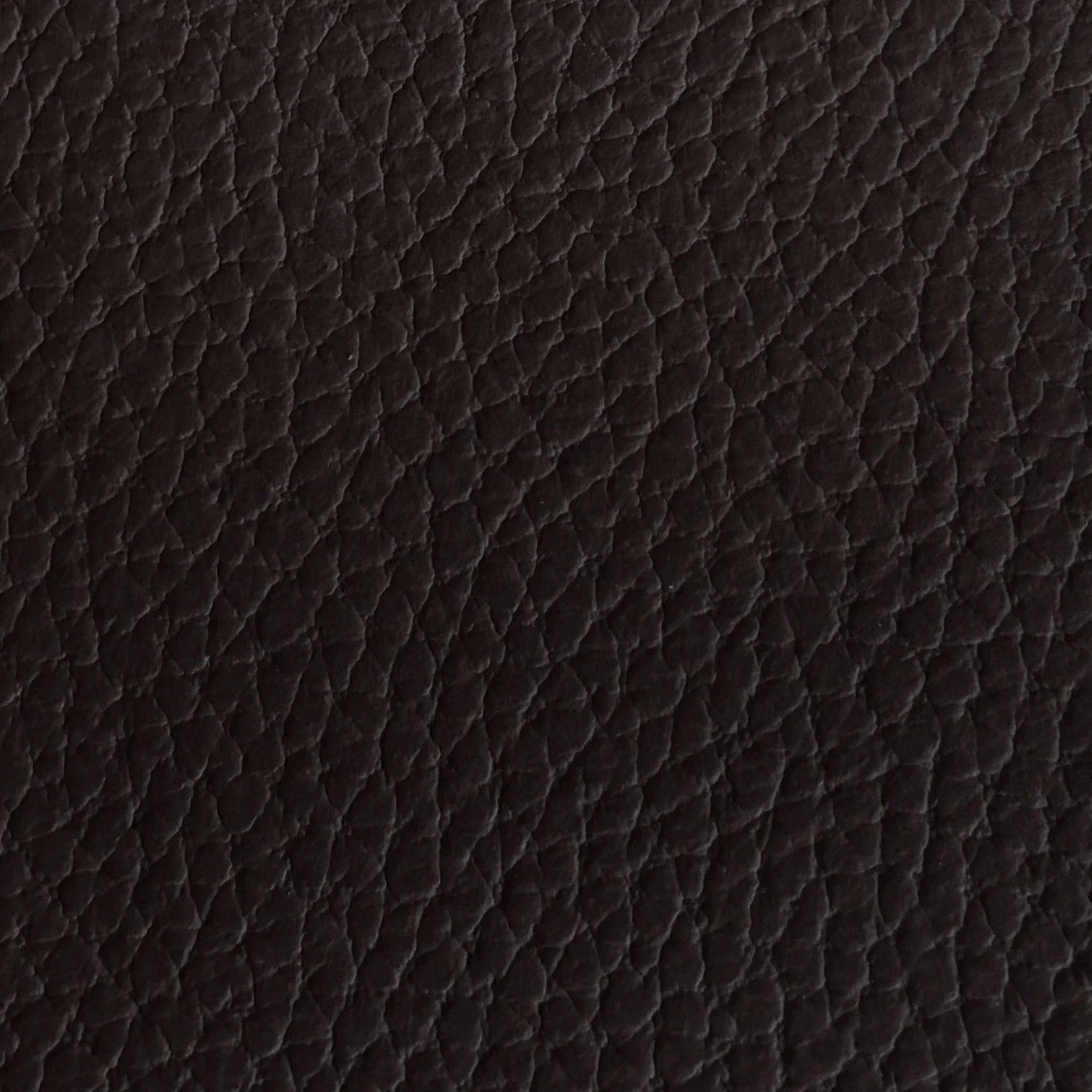 ART. TAURUS TESTA DI MORO