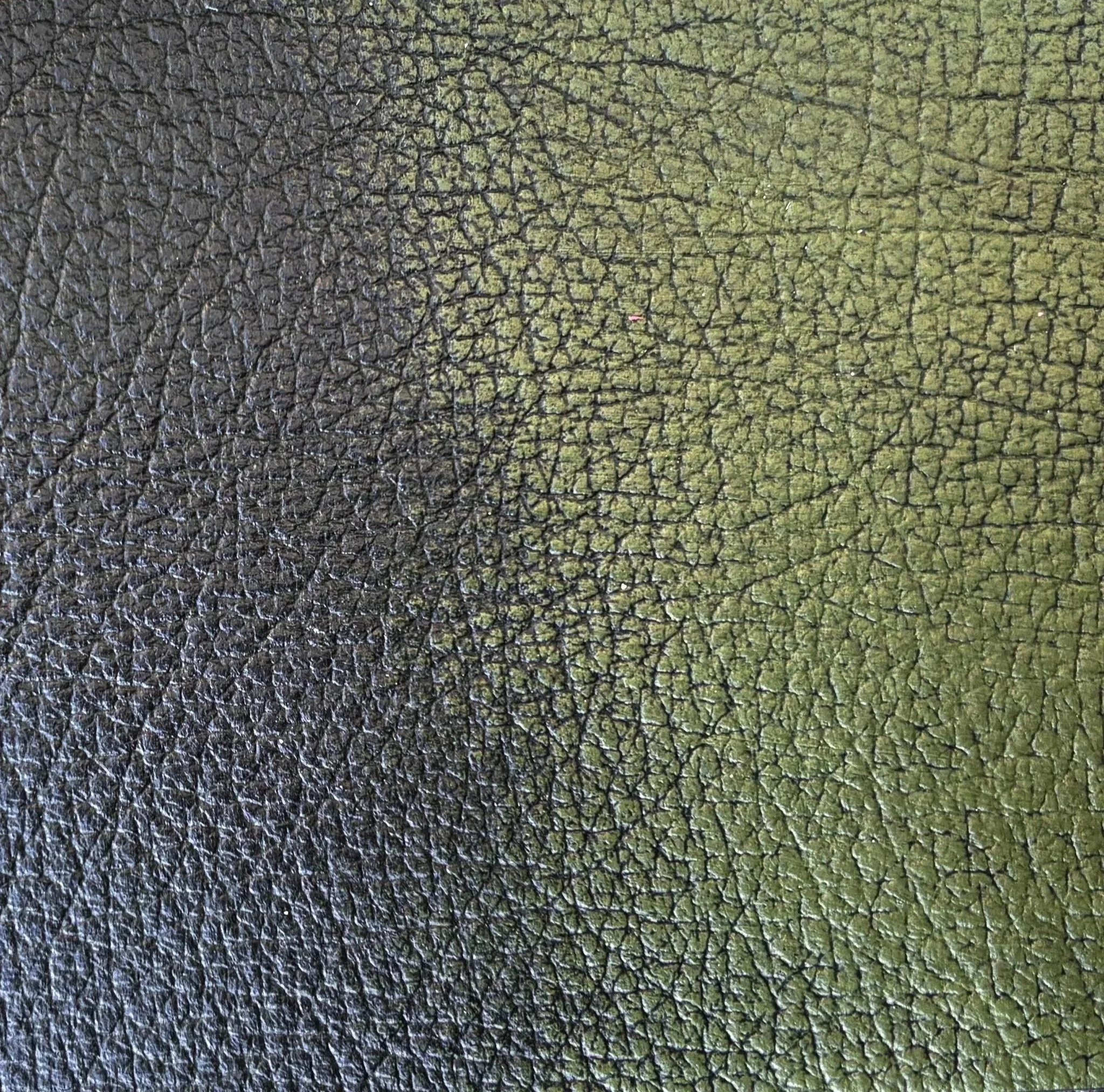 ASPORTABILE GREEN