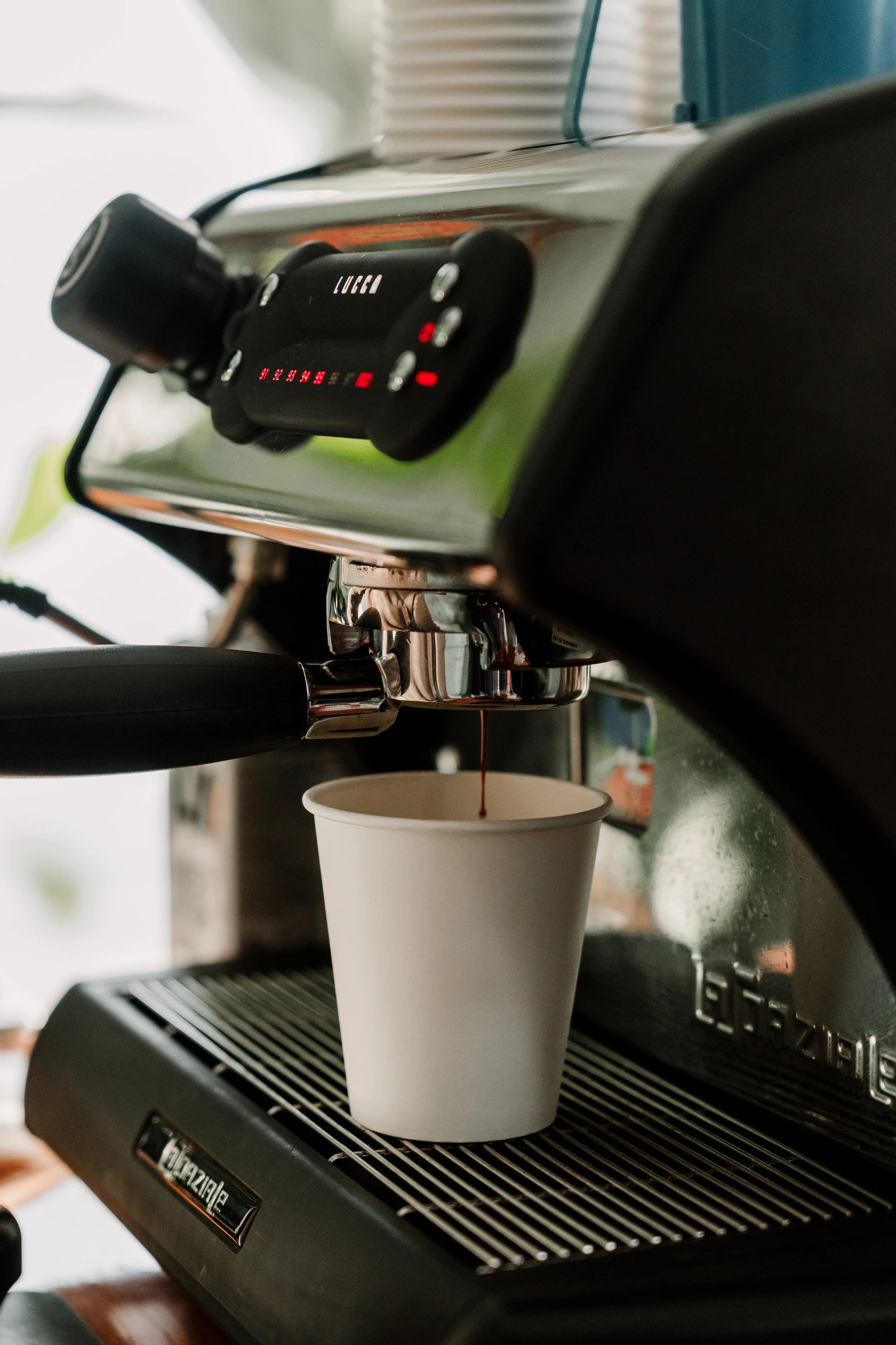 Catfish Coffee - Staged Shoot-20.jpeg