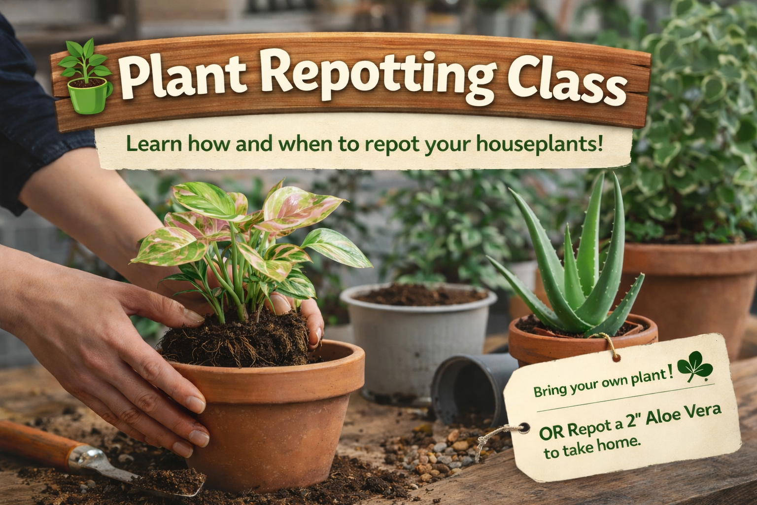 ChatGPT Image Mar 14, 2026 at 12_55_34 PM.png