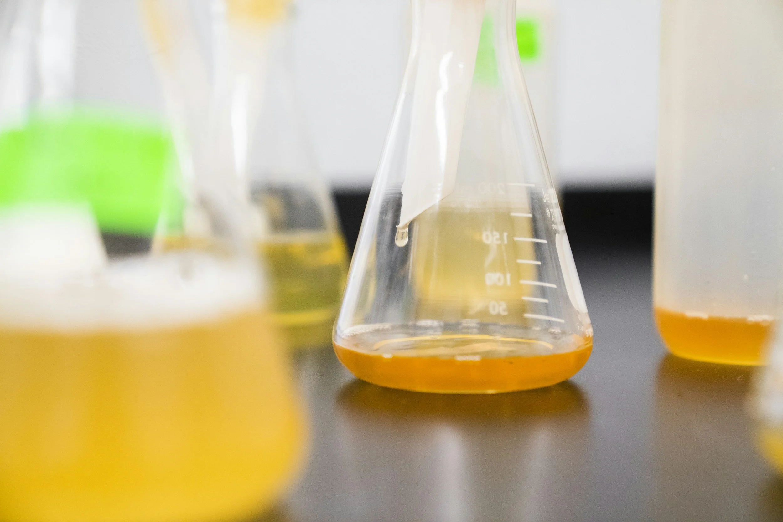 Multiple laboratory Erlenmeyer flasks with yellow, orange, and clear liquids on a lab table.