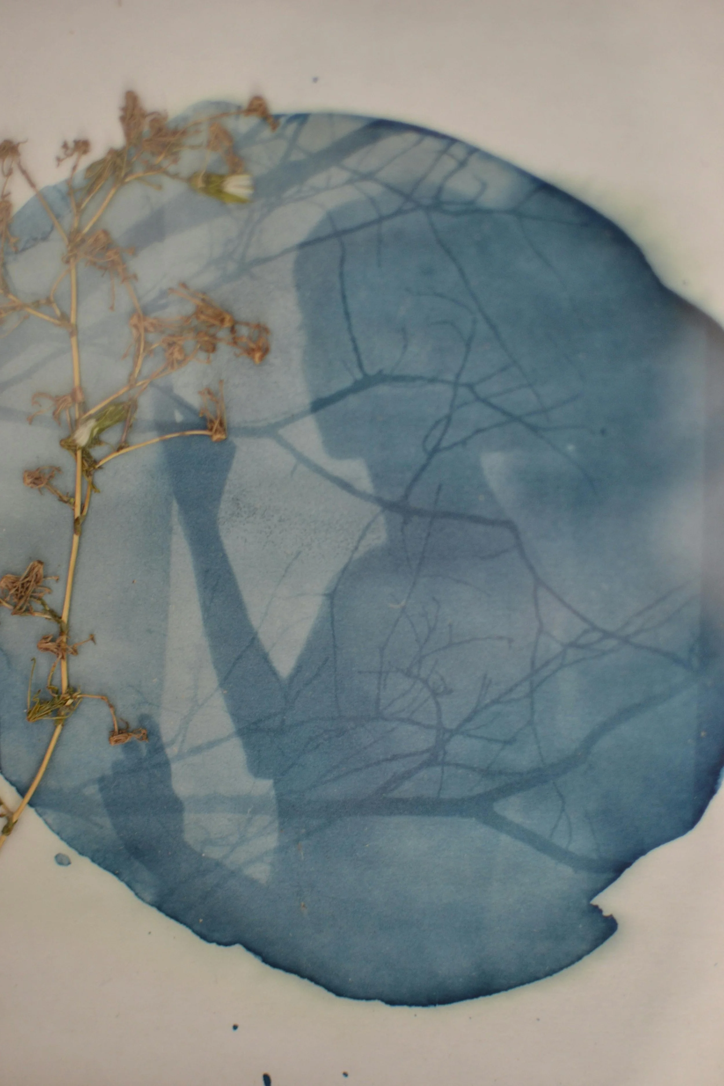 It was never about the weight