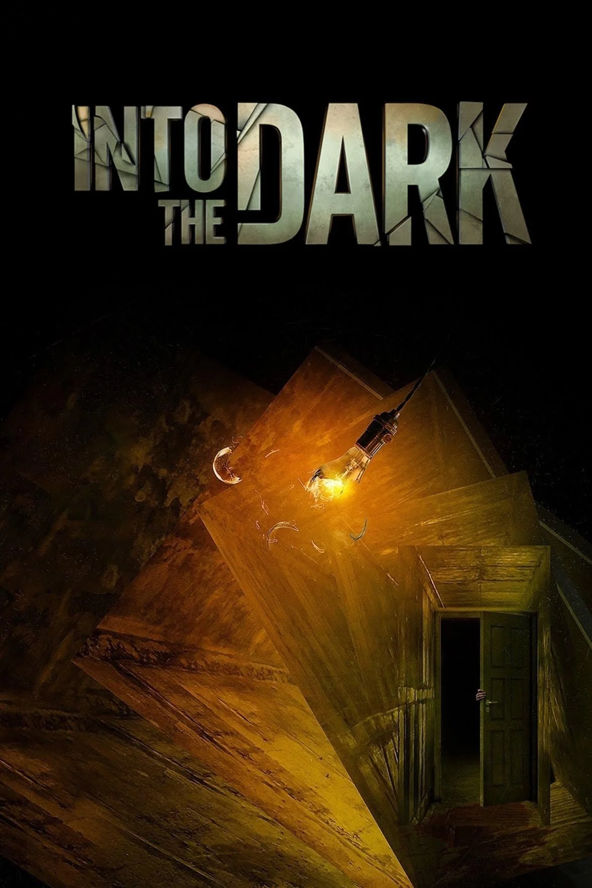 Dark scene with a door at the bottom, wooden walls, a hanging exposed light bulb, and the text 'Into the Dark' at the top.