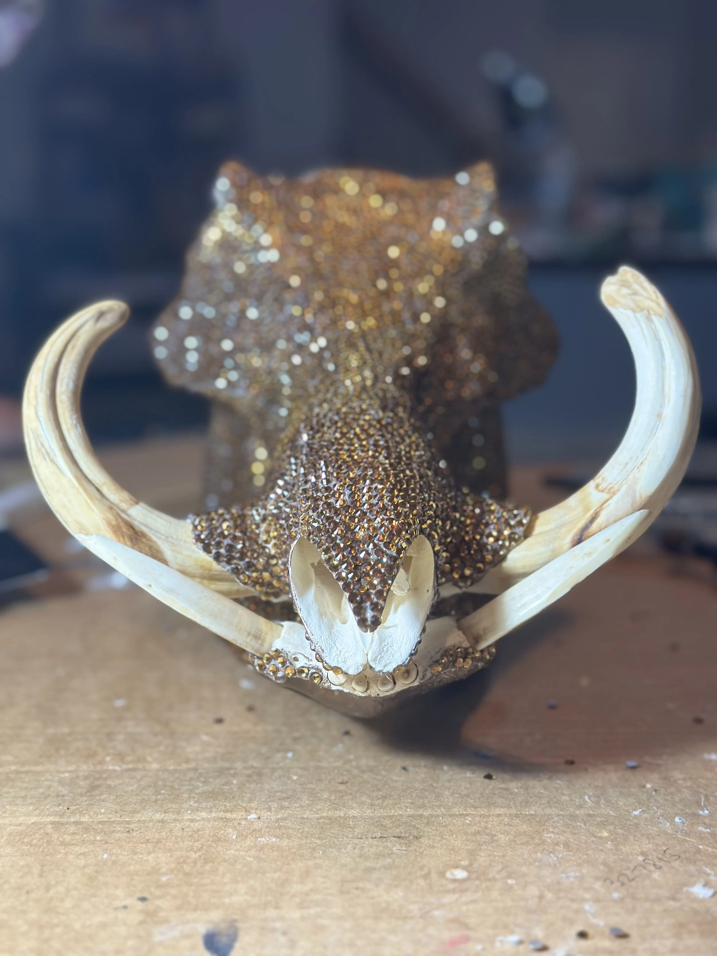 Close-up of a decorative object resembling a skull with antlers, decorated with glittering brown and gold rhinestones, mounted on a wooden surface.