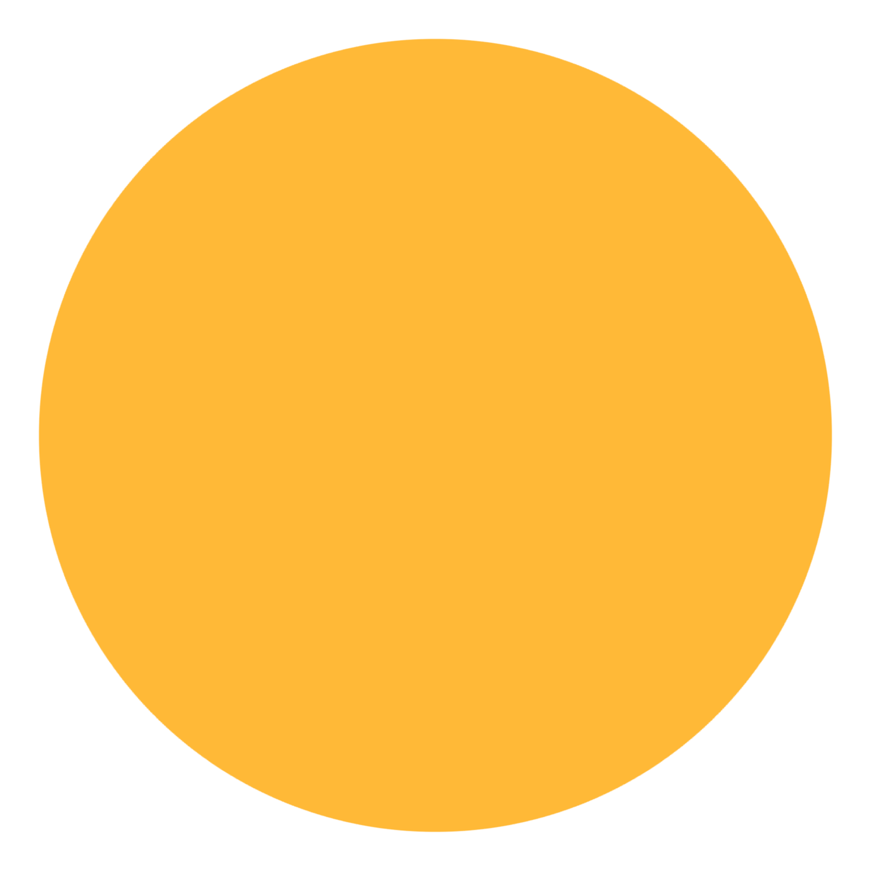 A solid orange circle on a black background.