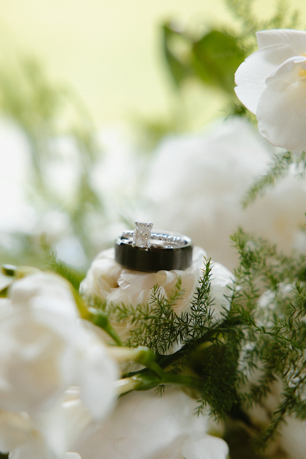 Mia + Josh- Yinzer Valley Farms- Coultan Lucas Photography-122.jpg