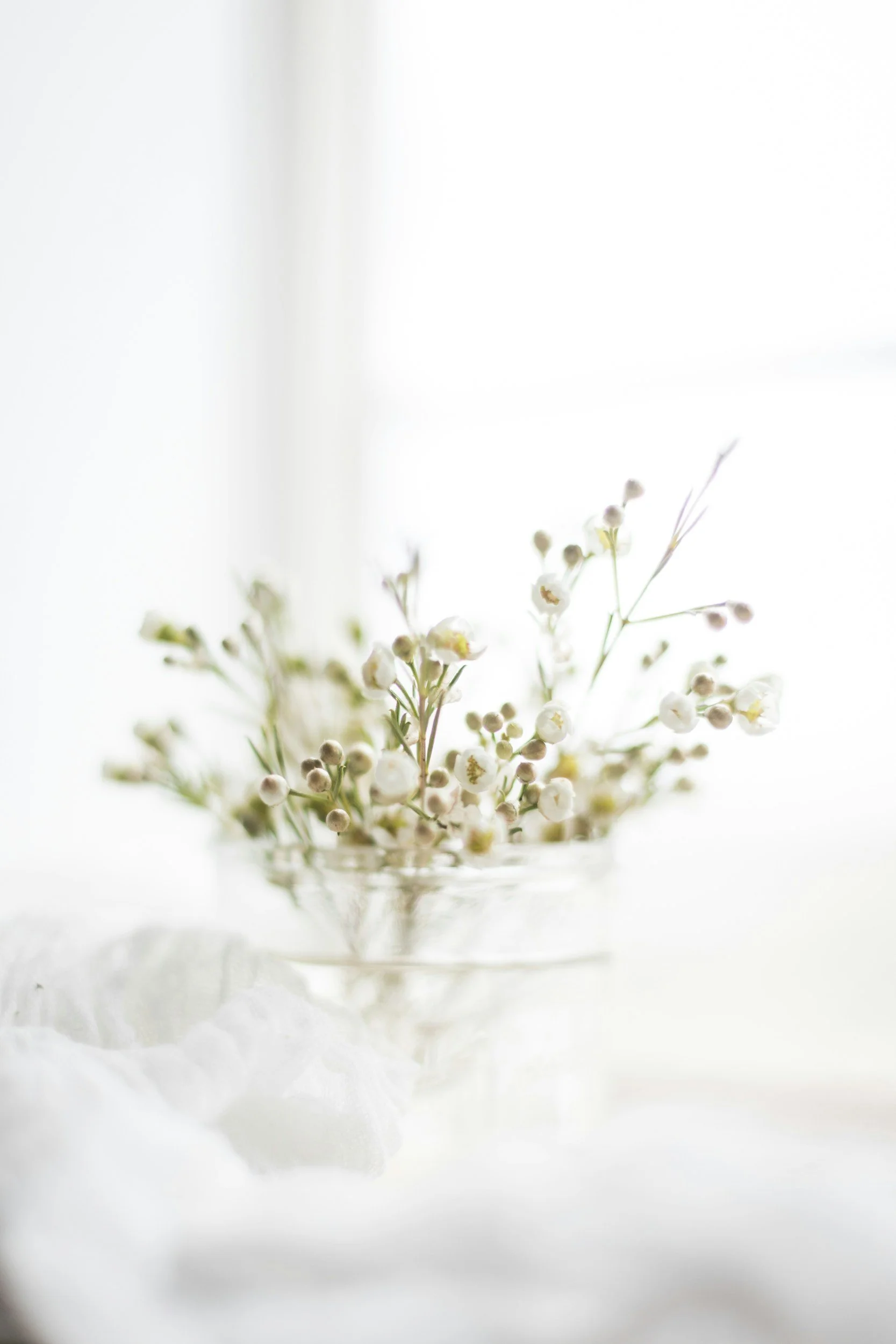 Small white flowers in a clear glass bowl, soft natural lighting, minimalistic aesthetic. EMDR. Anxiety. Shame. Women. NC. Therapy. Virtual.