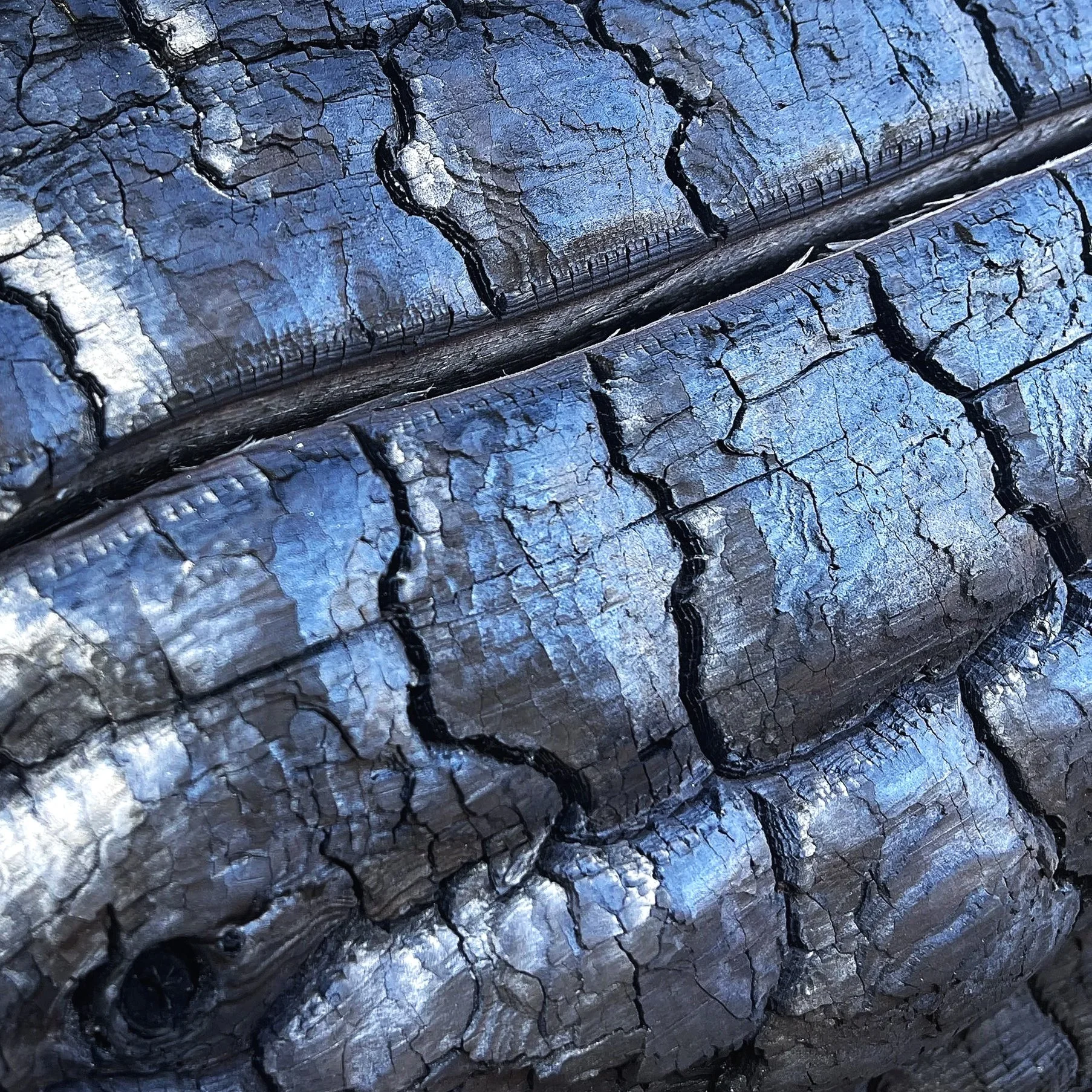 Close-up of charred, cracked wood logs with a blueish hue.