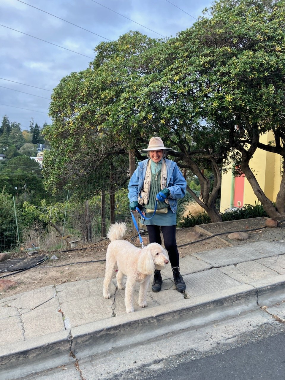 A dog trainer in Oakland with a wide-brim hat, blue jacket, and gloves walking her light-colored poodle on a leash.