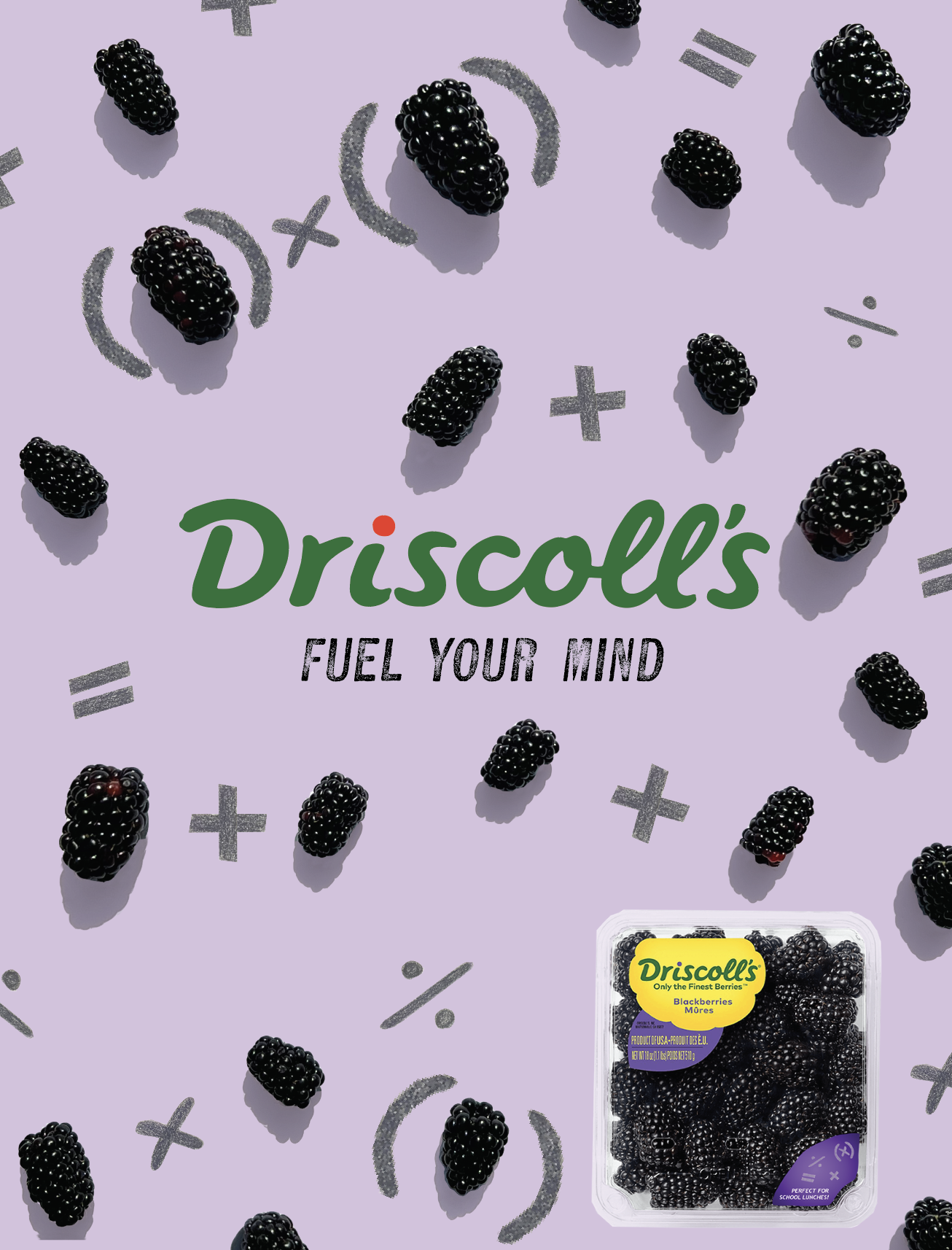 Screenshot 2025-11-07 at 3.17.55 AM.png