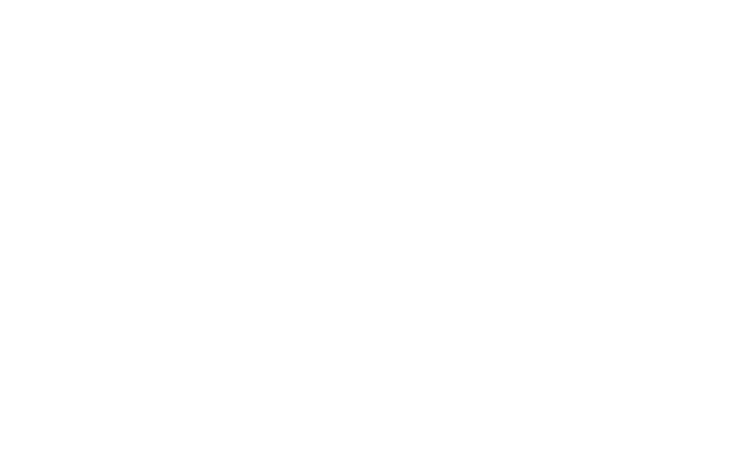 Coachella VMT