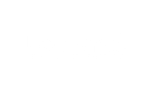 Bonnaroo