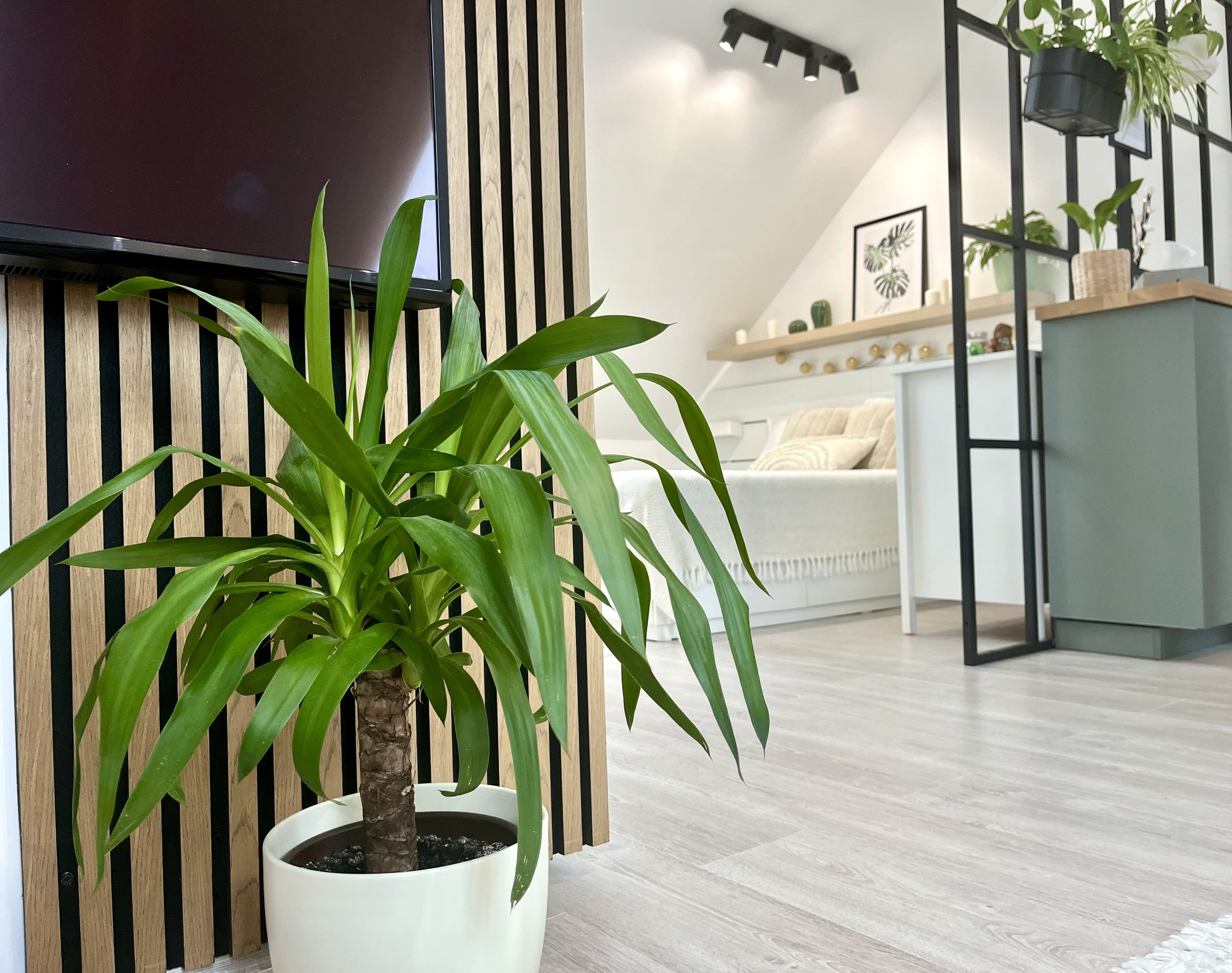 Veszprém - tetőtéri lakás nappali