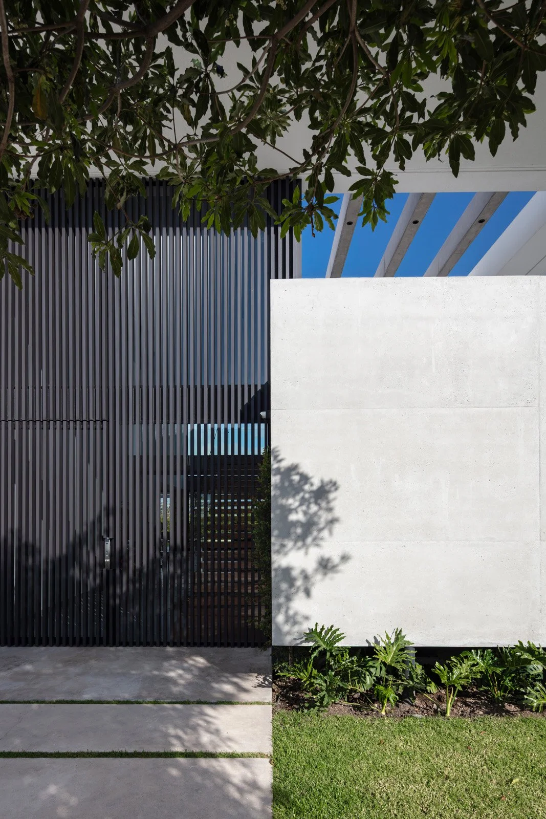 Imagen de una entrada moderna con muro de metal negro y muro de concreto blanco, plantas verdes y sombra de árbol, con cielo azul visible.