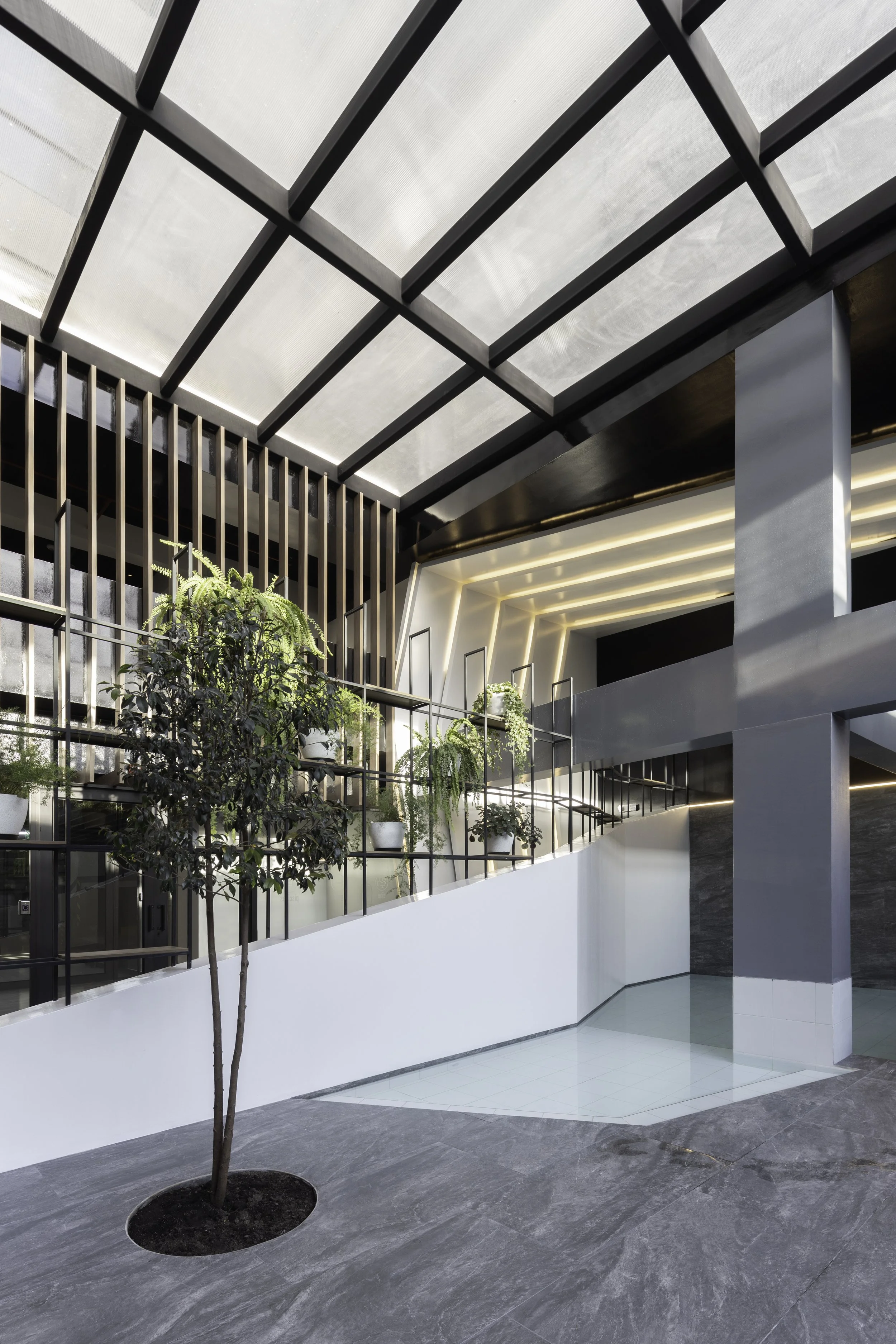 Interior moderno con plantas en macetas blancas, árbol pequeño en la esquina, techo de cristales, iluminación led y paredes blancas y grises.