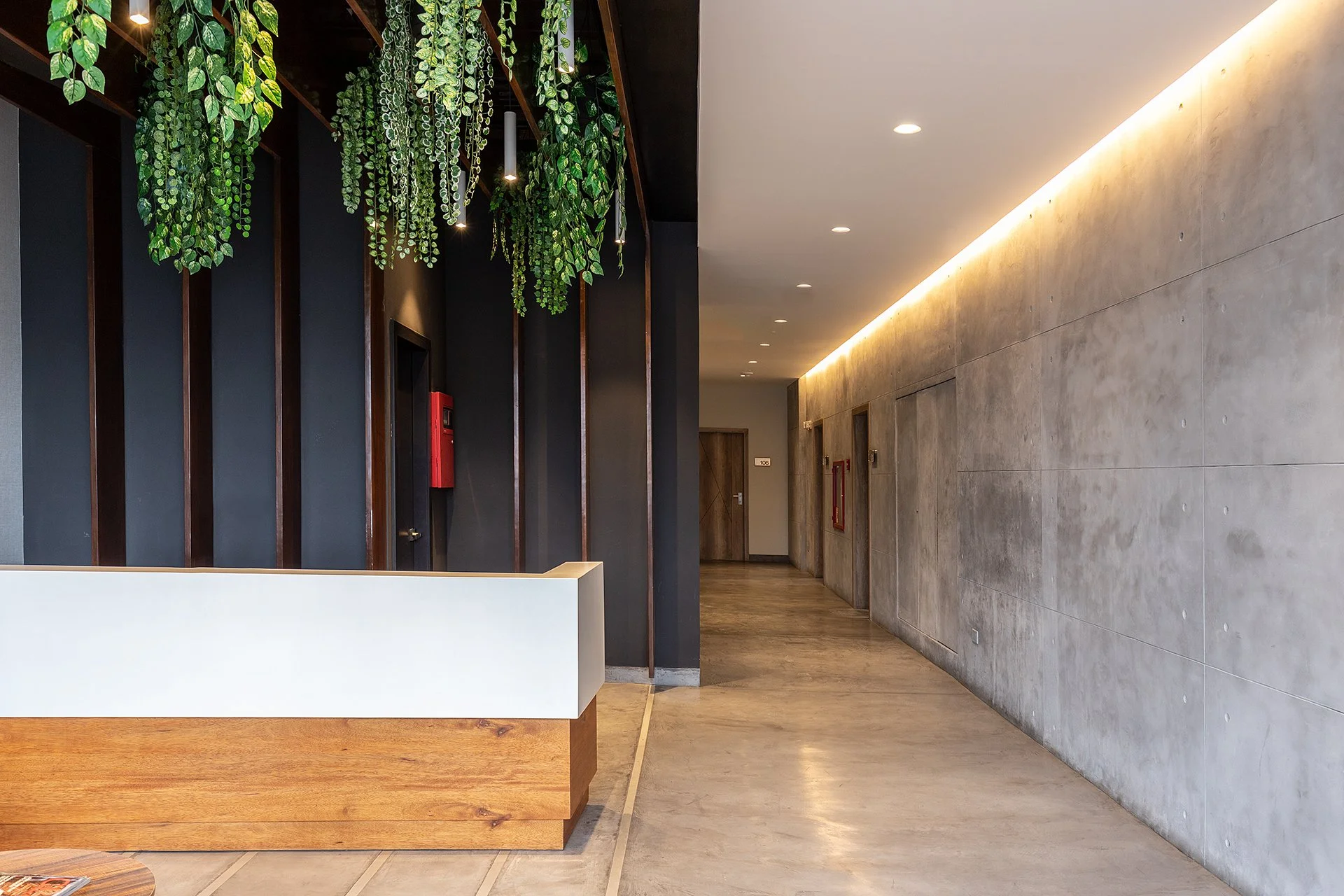 Interior moderno con paredes de concreto, pasillo con suelo de madera, y una zona de recepción con plantas colgantes verdes.