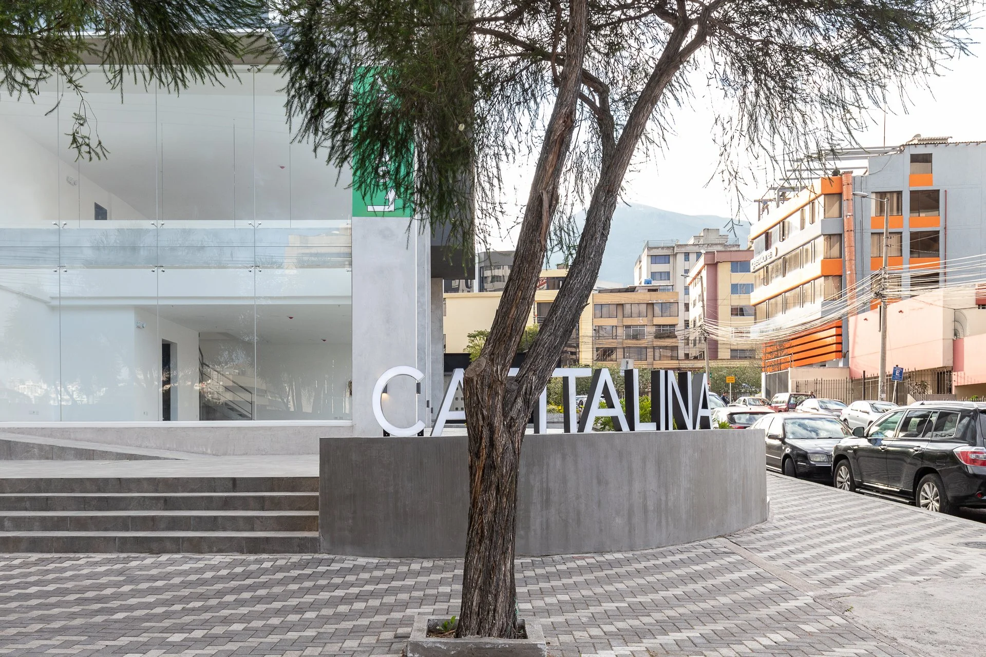 Edificio moderno con una fachada de vidrio, un árbol en primer plano y autos estacionados en la calle en la ciudad de Cata, con montañas al fondo.