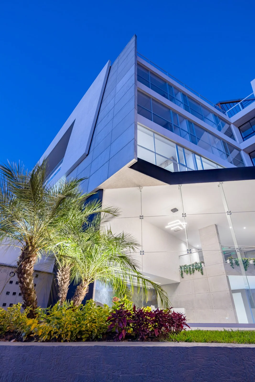 Edificio moderno con fachada de vidrio y paredes blancas, iluminado por la noche, con plantas y palmeras en primer plano.