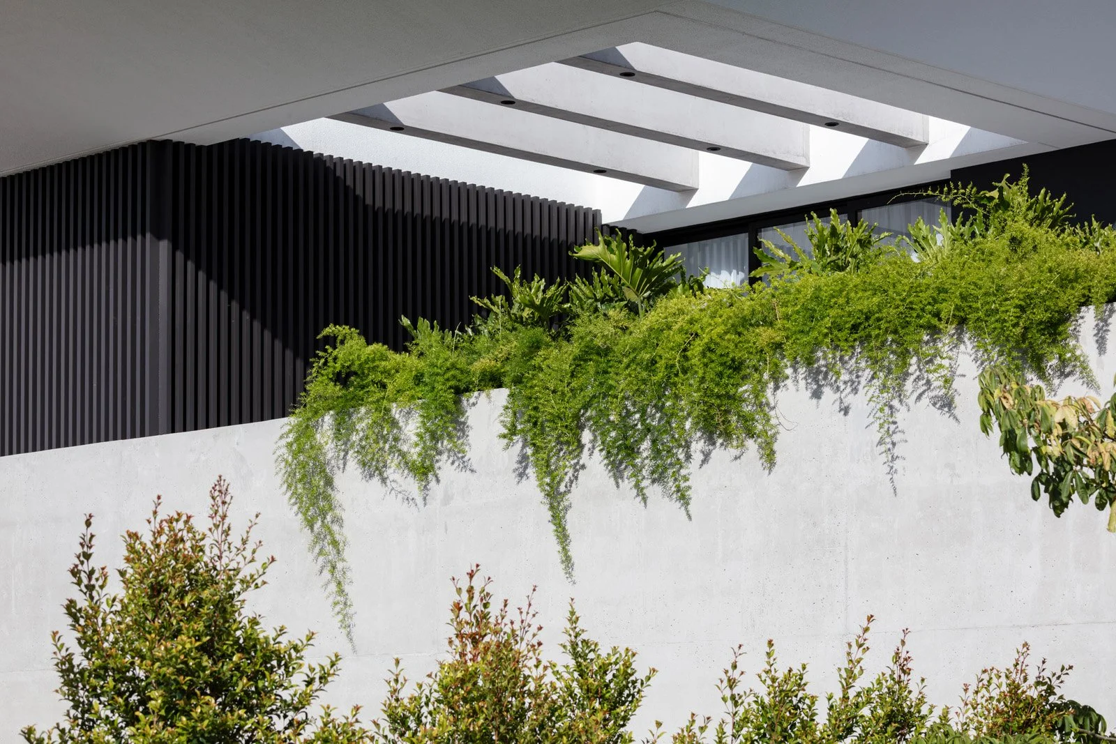 fachada moderna con pared blanca, plantas verdes en la segunda planta y árboles pequeños en primer plano