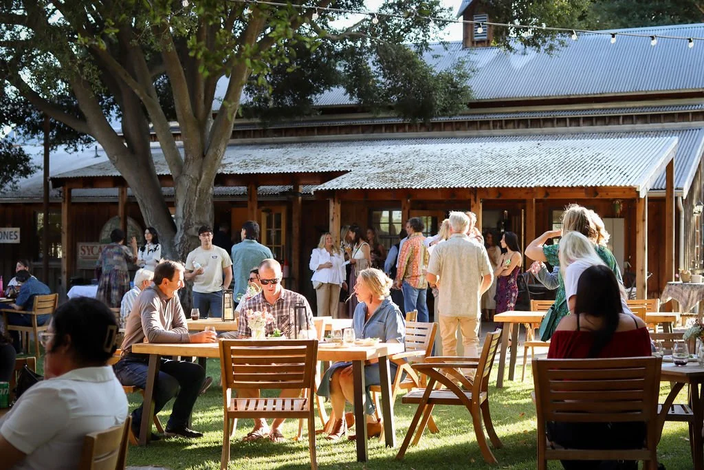 Moonlight Sonata-11.jpg