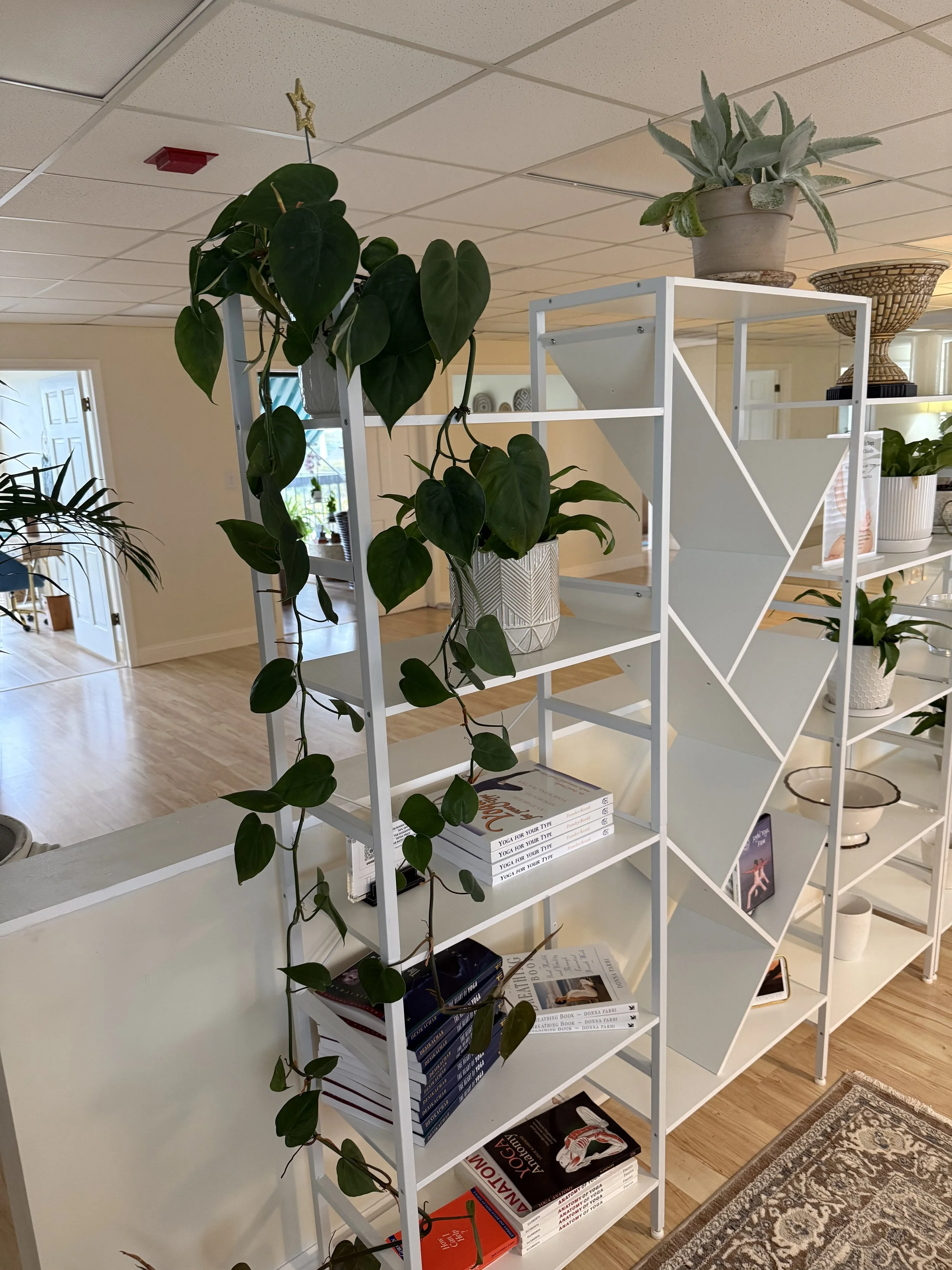 Interior of a room with a white shelving unit displaying various potted plants, books, and decorative items, with a foyer visible in the background.