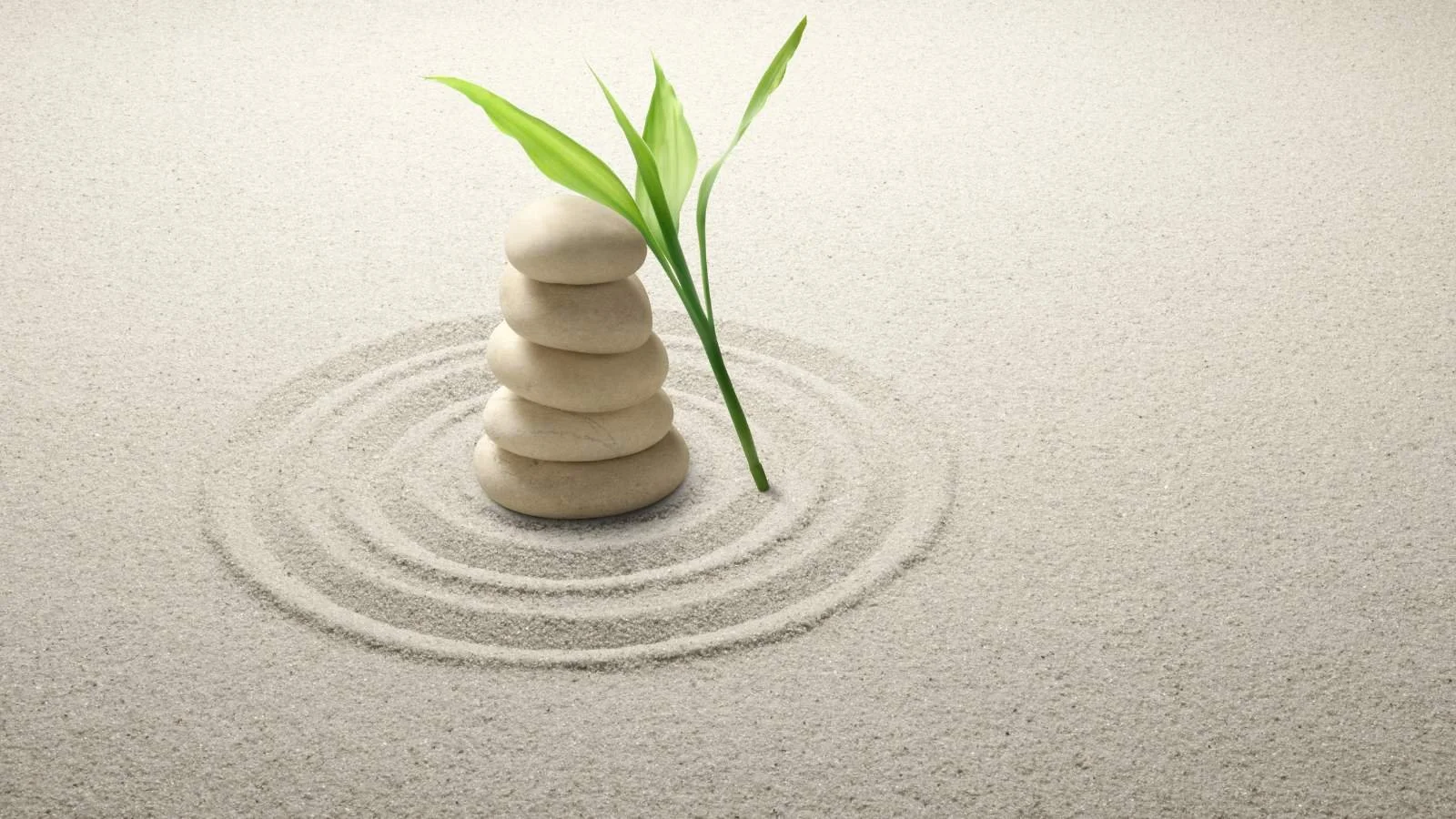 Private Pay Therapy in Naples, Florida: Flexible, Personalized Care