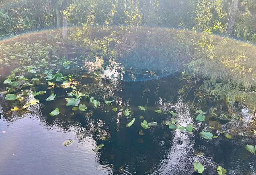 Therapist in Naples, Florida, providing care for complex trauma, anxiety, relationship stress, and attachment wounds in a welcoming, professional environment.