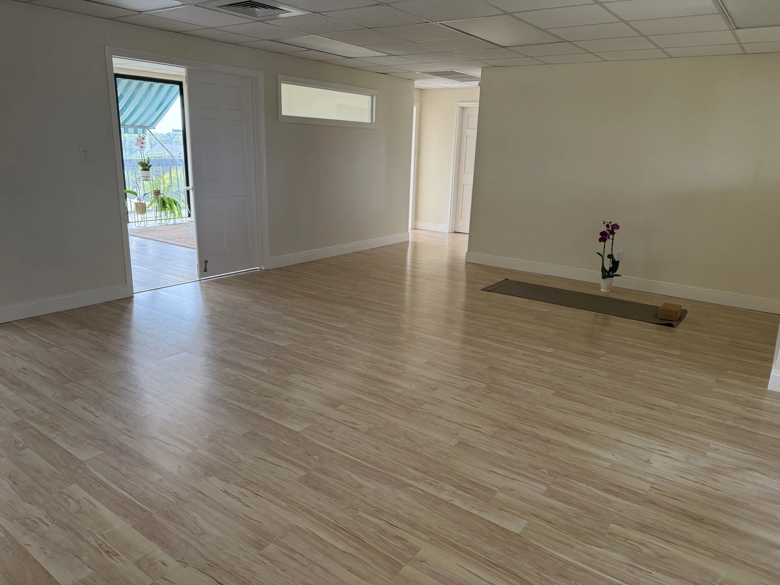 Empty room with light wood flooring, a small potted orchid on a mat, and an open door leading to a balcony with plants and a view of a neighborhood.