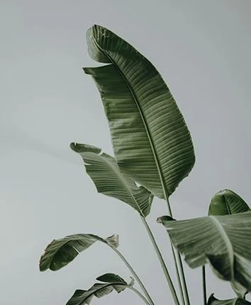 EMDR therapy session in Naples, Florida, helping clients process past trauma and anxiety in a safe, supportive environment.