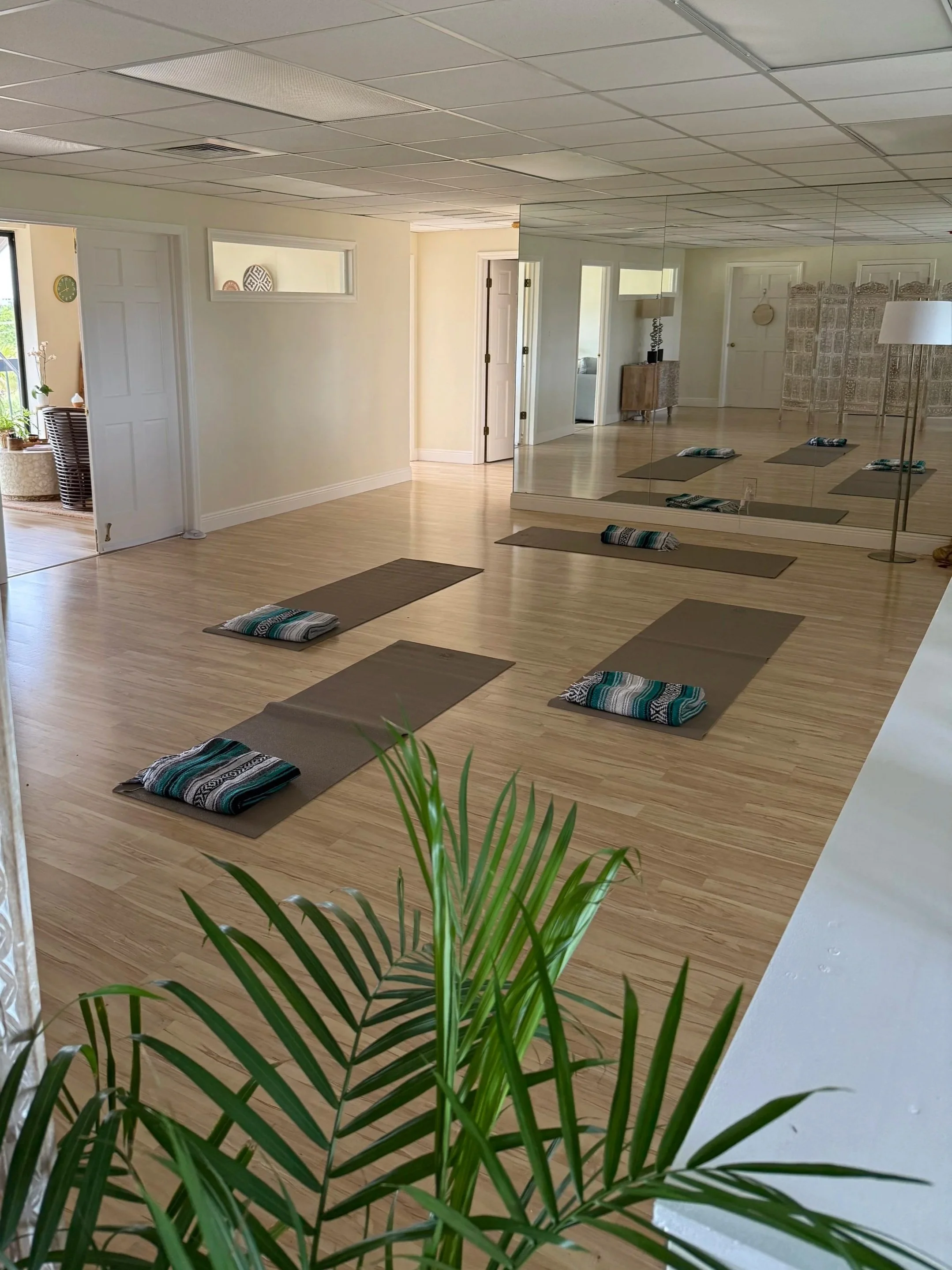 A yoga or meditation room with mats and blankets on light wood flooring, a mirror wall, and a potted plant in the foreground.