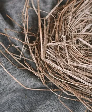 Trauma-informed therapy session in Naples, Florida, focused on early childhood trauma, with a supportive therapist and client in a calm, safe environment.