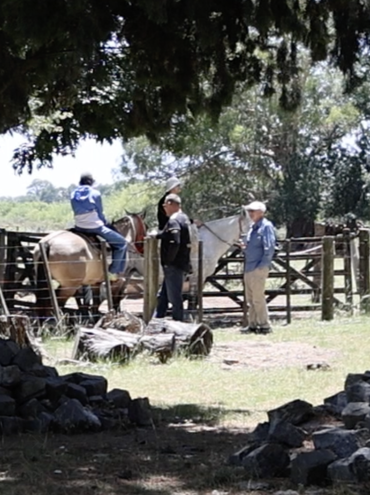 Screenshot 2026-03-23 at 2.19.31 PM.png